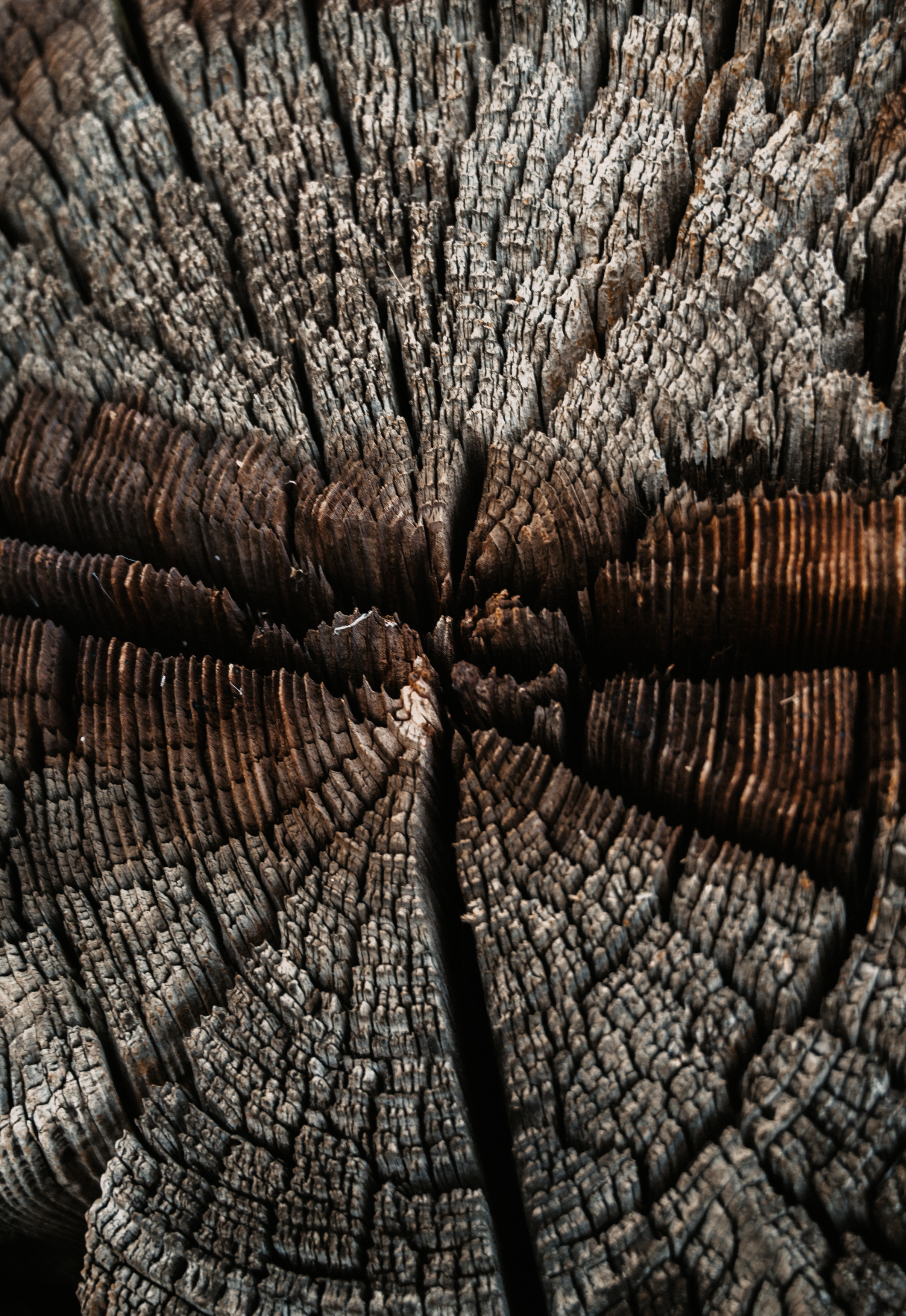 Ты моё всё. Фотограф Ким Ангелина