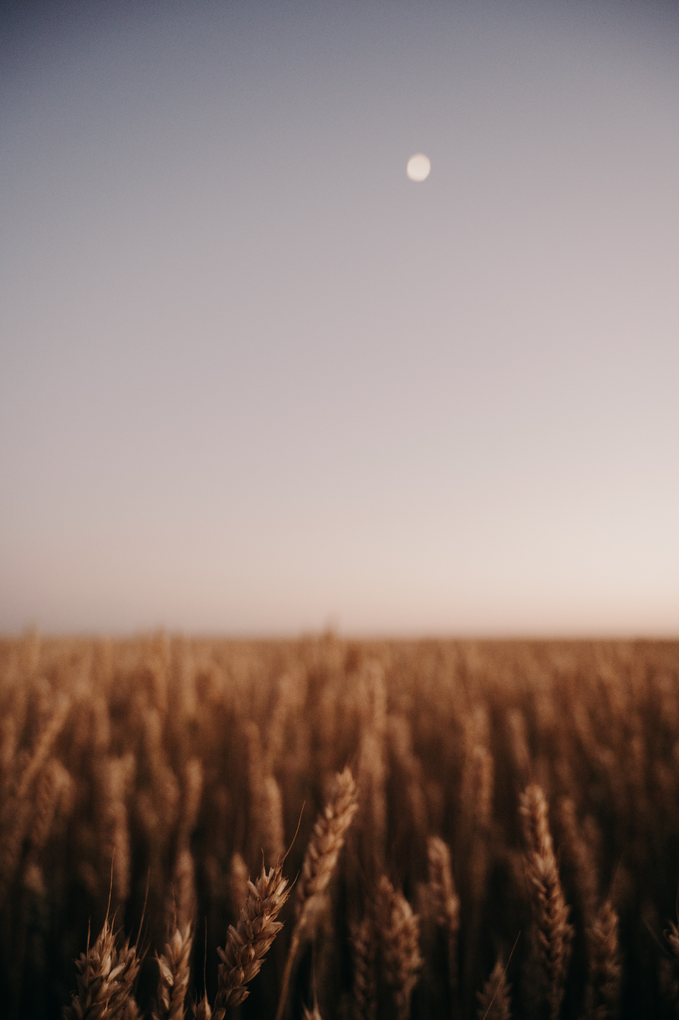 Дима и Марина. Фотограф Ким Ангелина