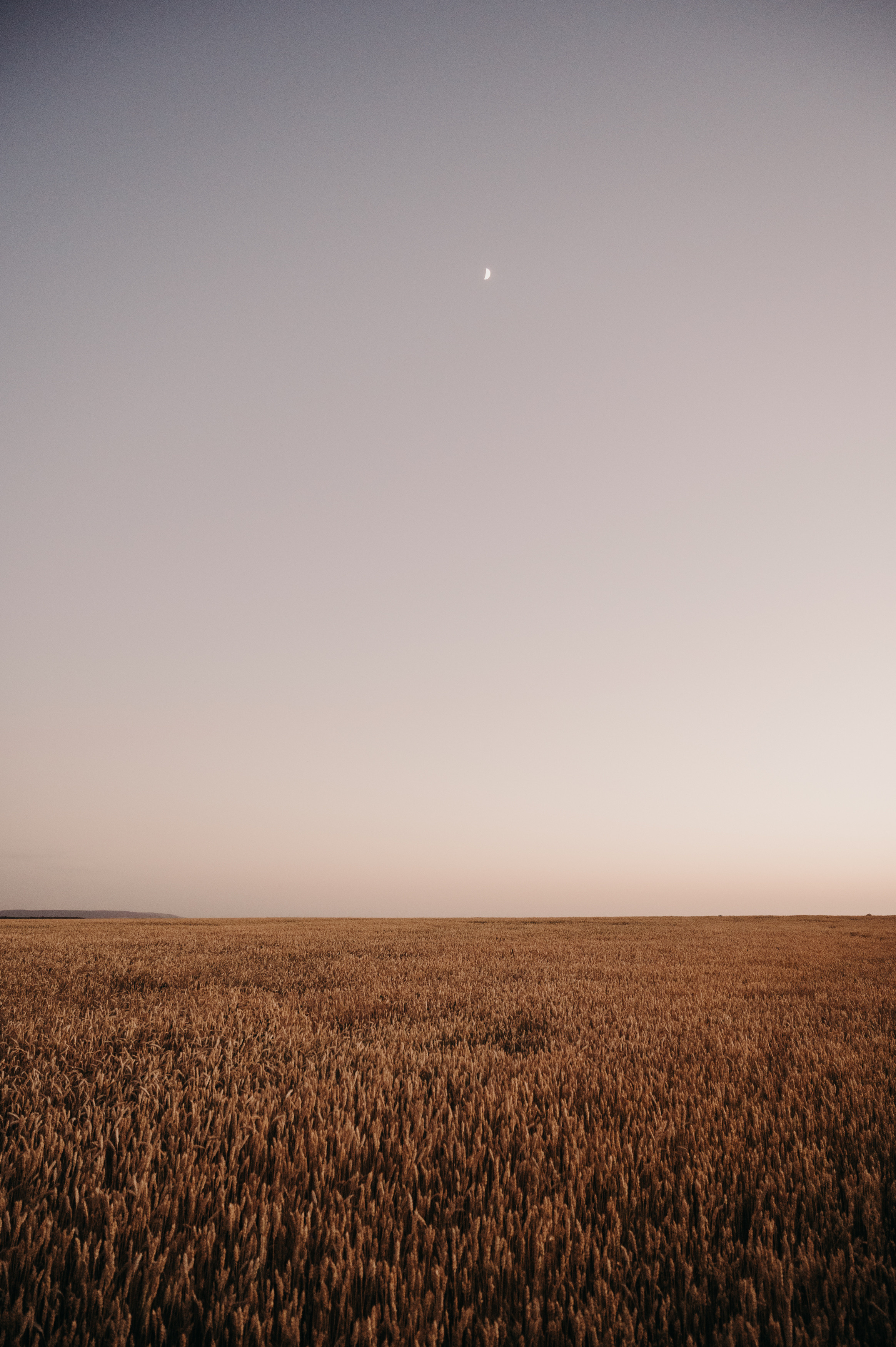 Дима и Марина. Фотограф Ким Ангелина