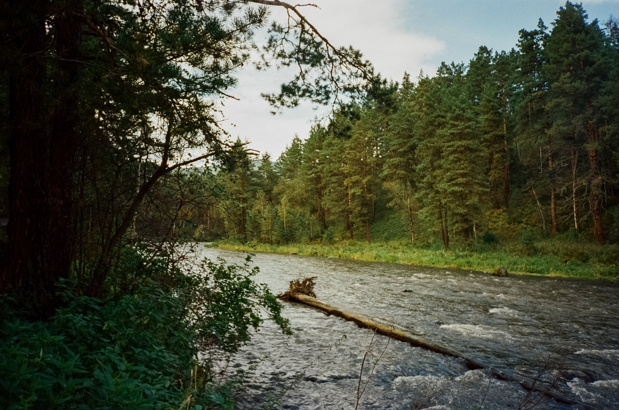 Ботанический сад и река Сема. Фотограф-документалист Мария Осокина