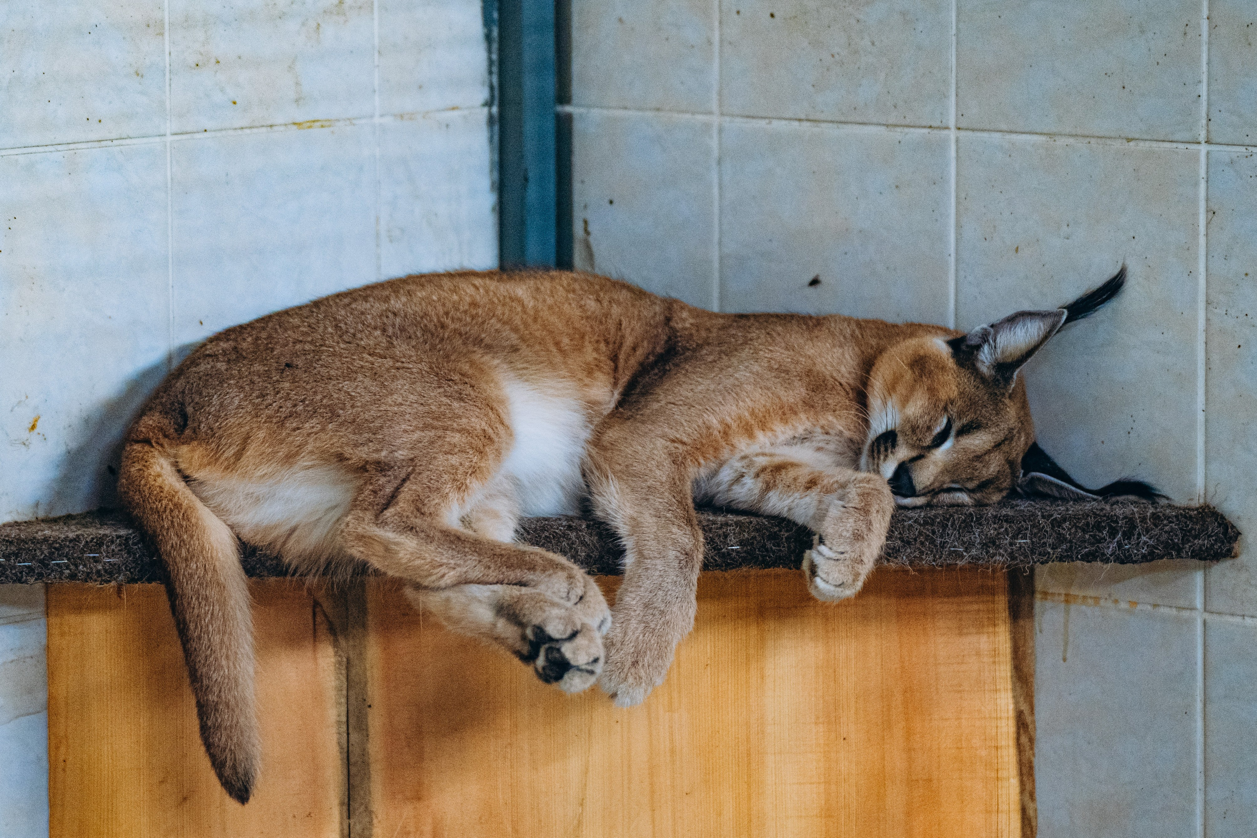 СЕВЕР. Event фотограф Степанова Александра