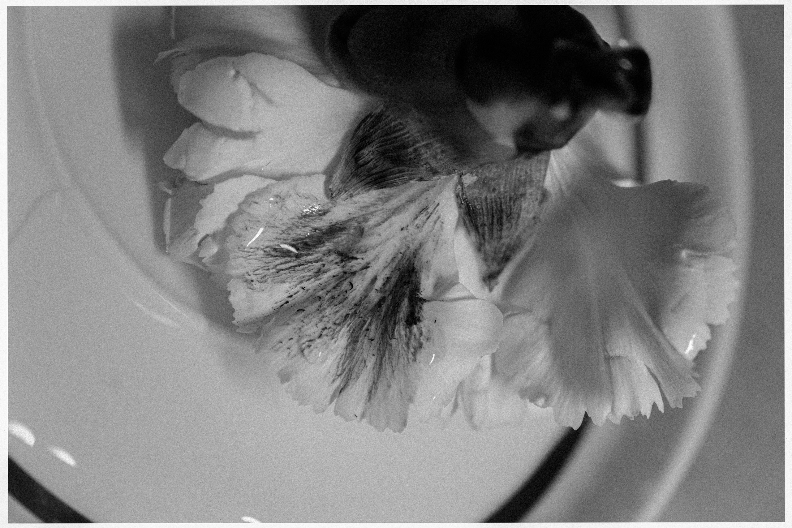 Female portrait. AI — artist | Documentary Photographer St. Petersburg, Milan