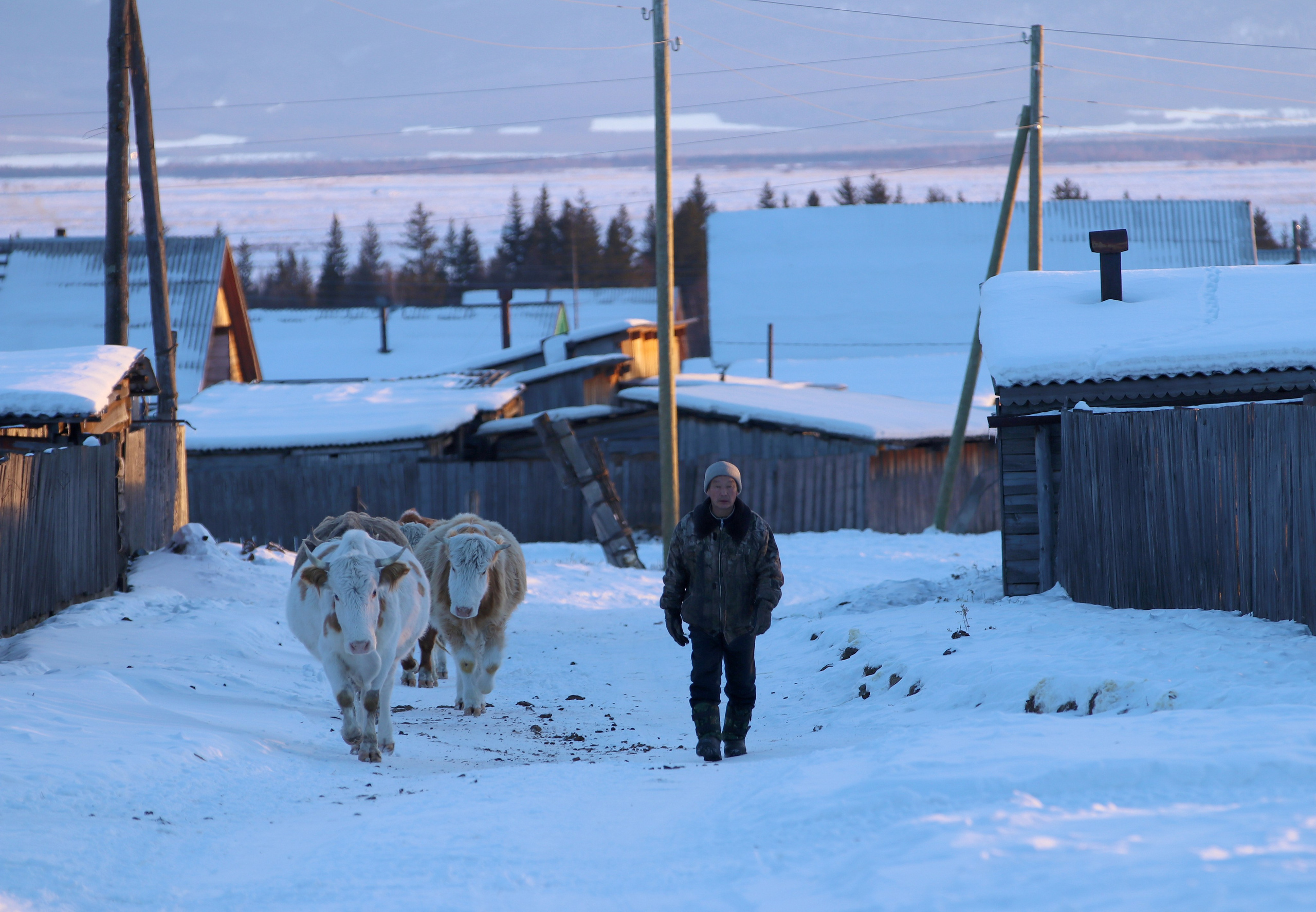 Аршан. Февраль 2025. Путешественник-фотограф из Санкт-Петербурга Татьяна Свистулина