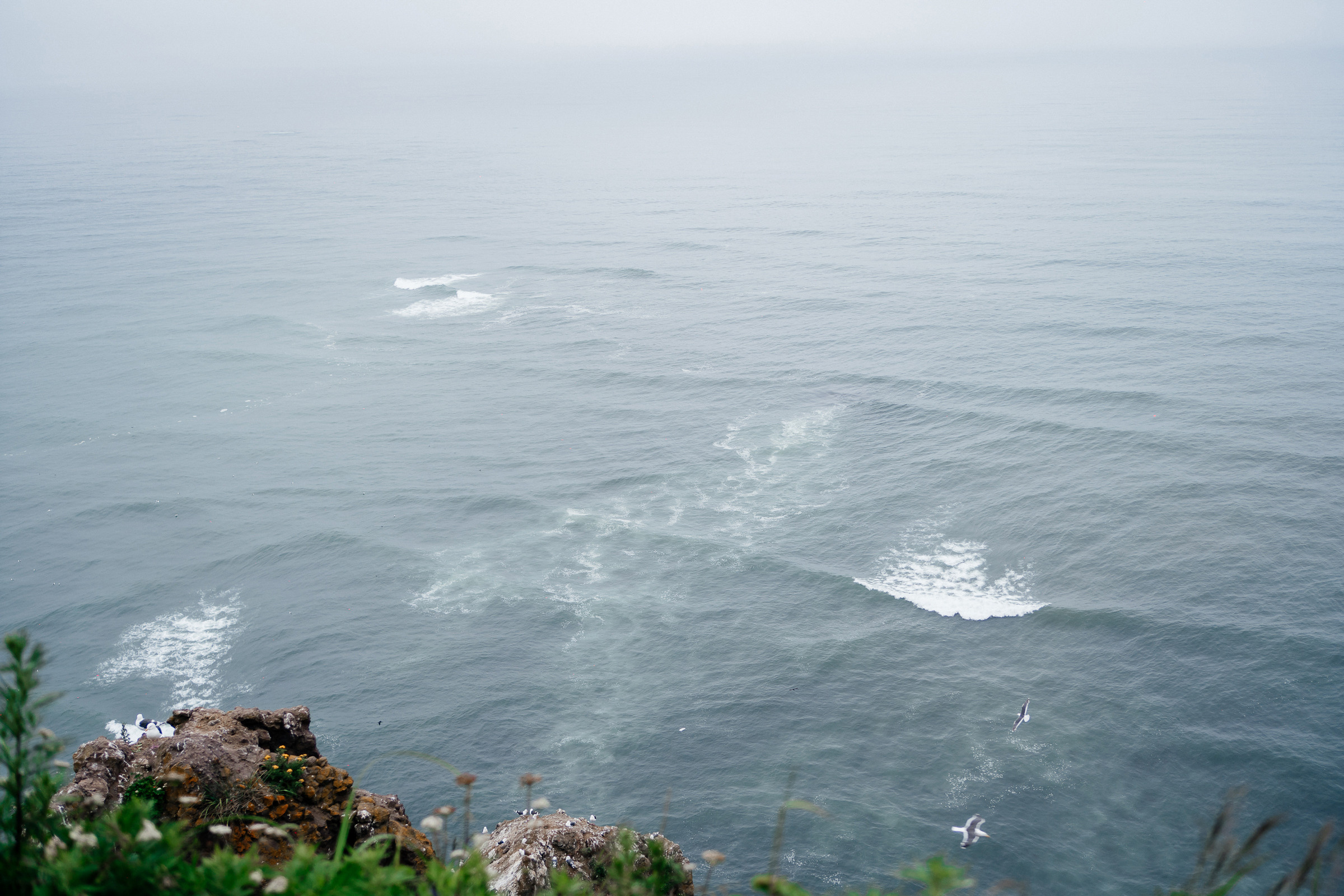 Дмитрий и Мария. Свадебный фотограф Камчатка Петровский Павел