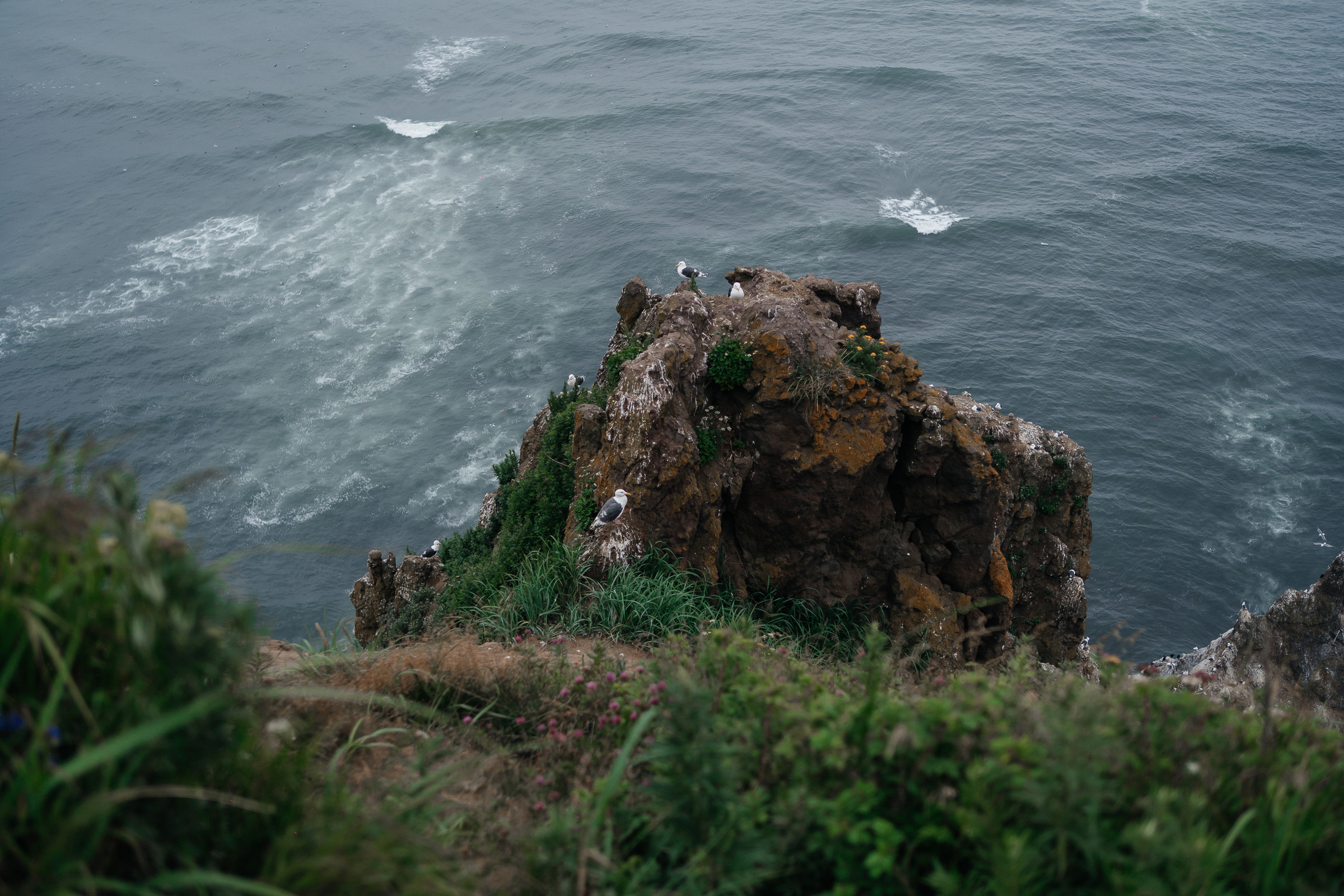 Дмитрий и Мария. Свадебный фотограф Камчатка Петровский Павел