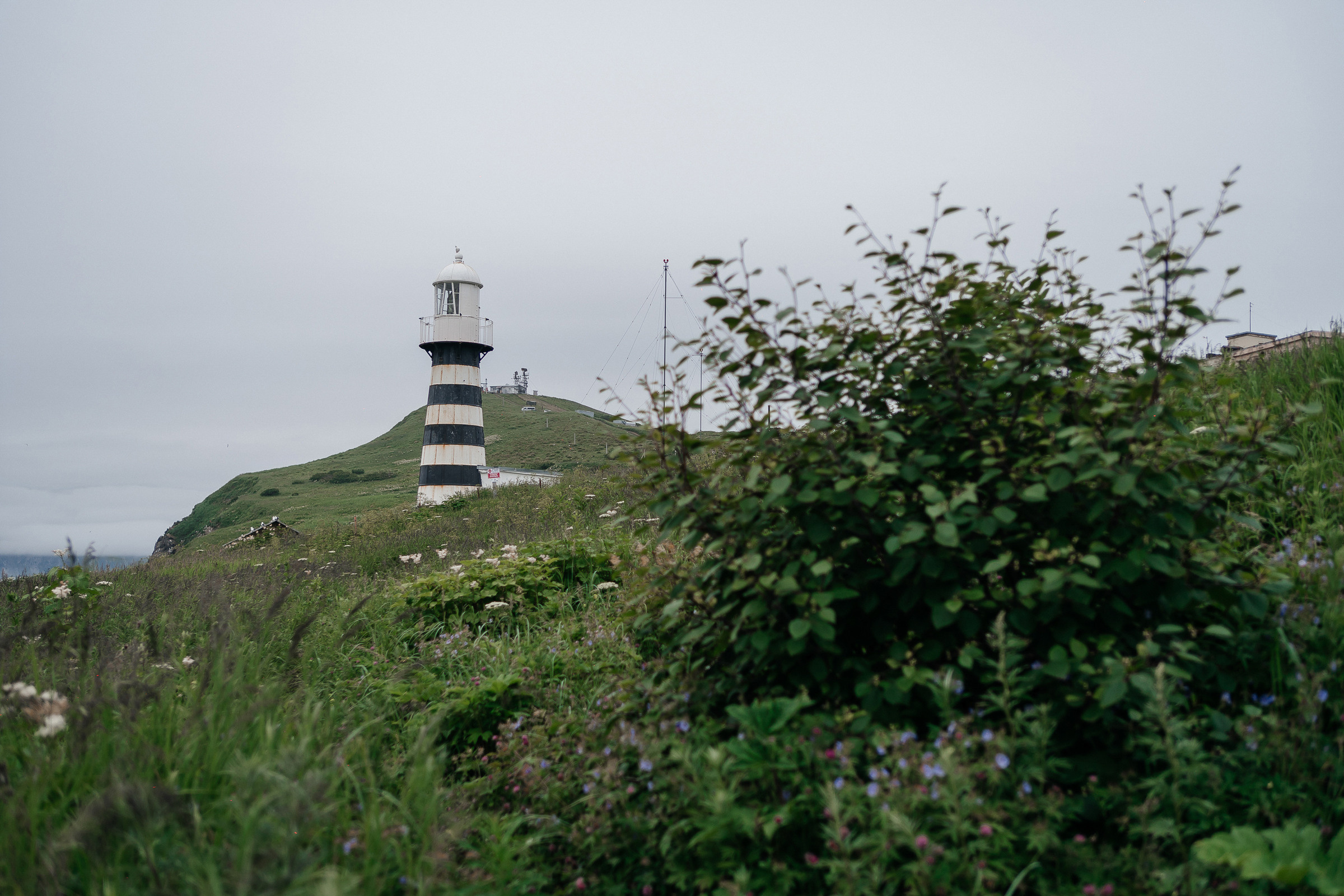 Дмитрий и Мария. Свадебный фотограф Камчатка Петровский Павел