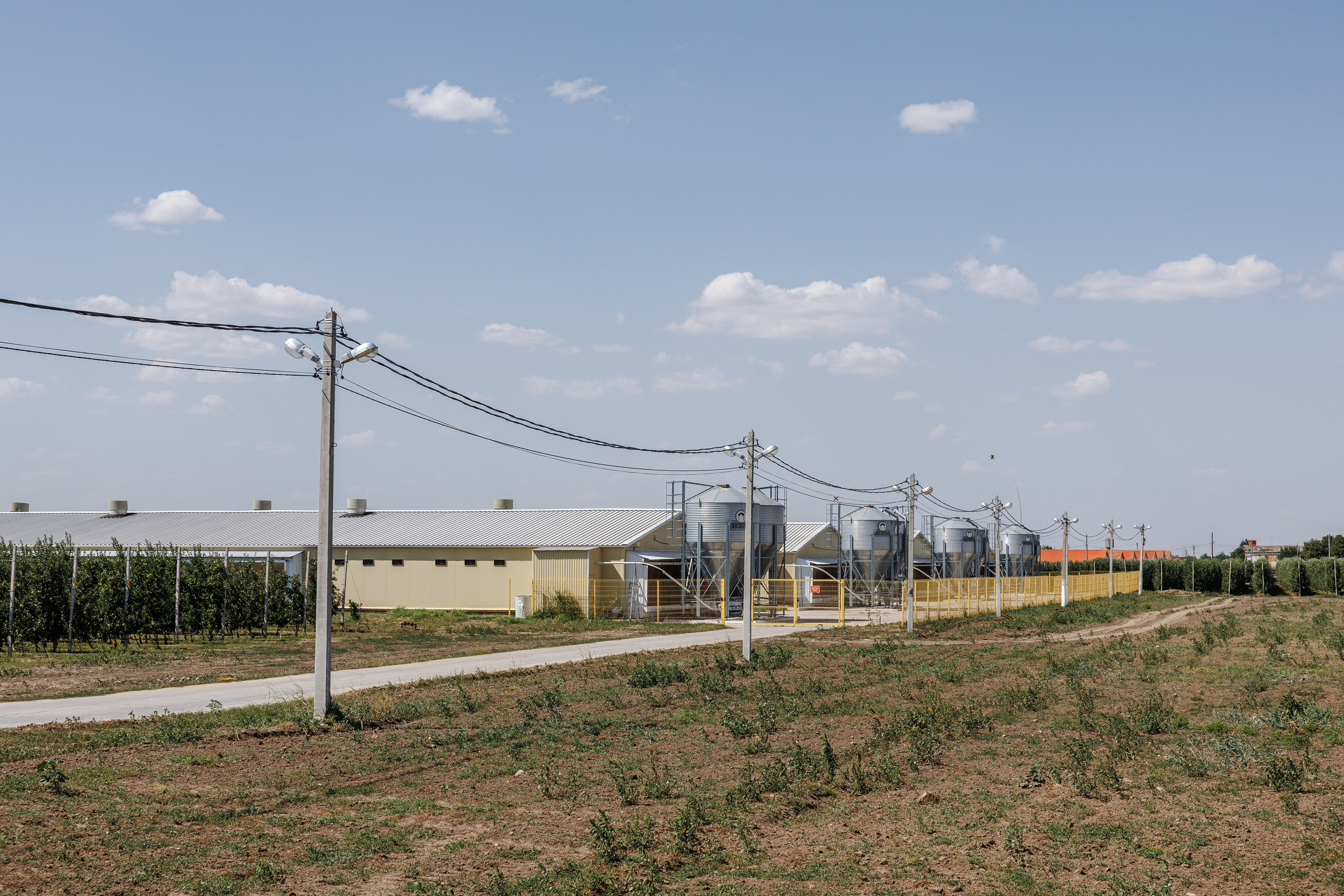 Баканский Бройлер. Фотограф Ставрополь Петр Голубенко