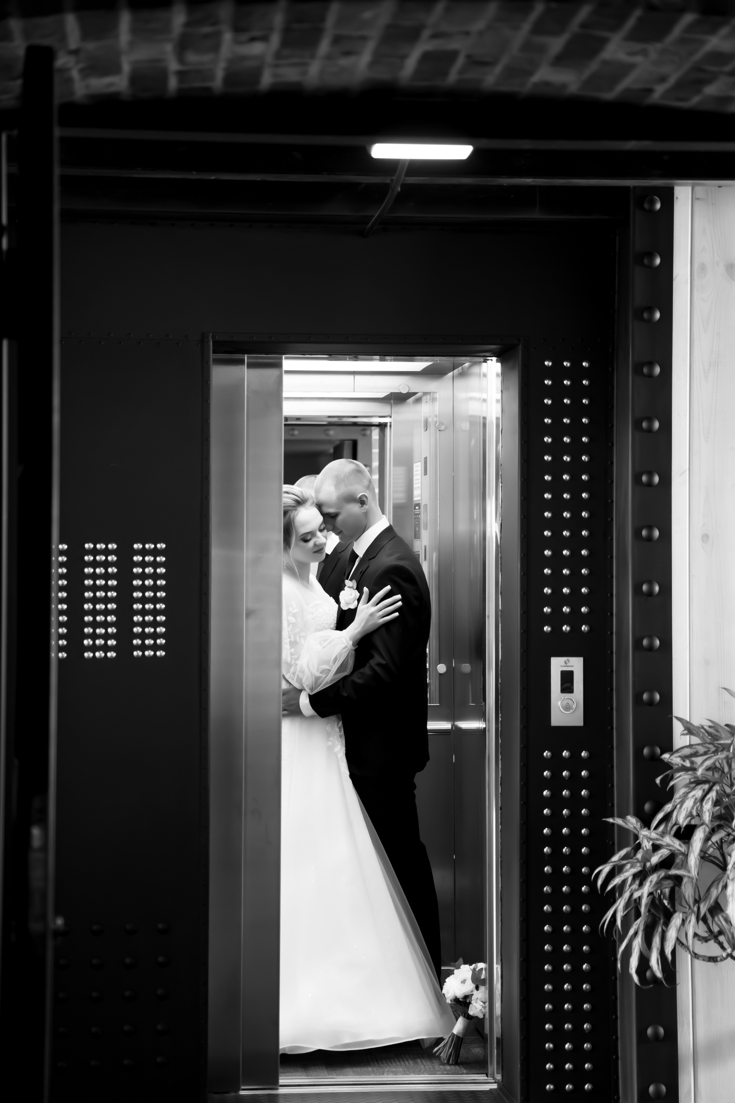 СВАДЕБНЫЕ ФОТОСЕССИИ. Свадебный и семейный фотограф в г. Майкопе (выезд по республике и краю)