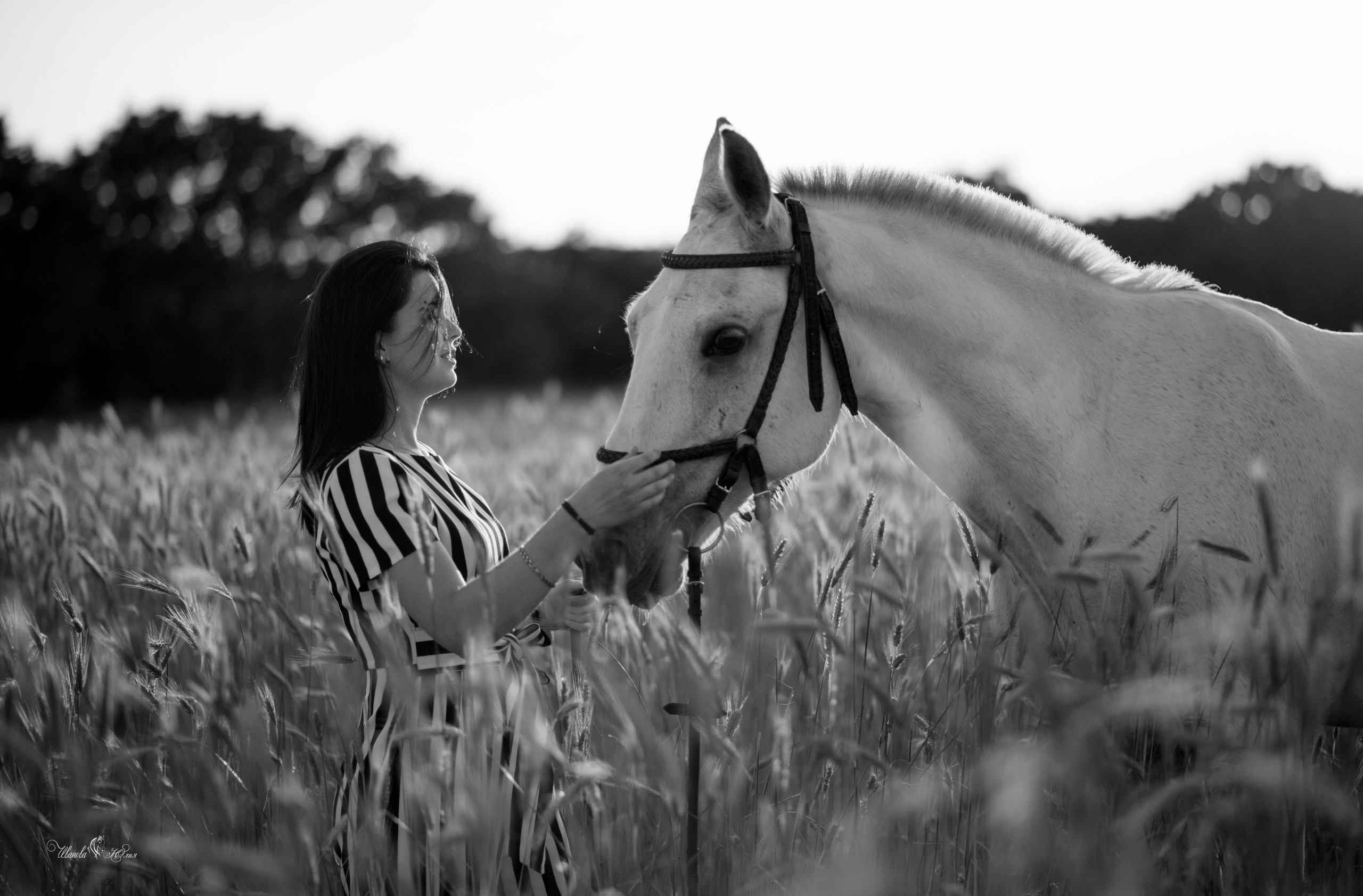Кристина и Гипноз. Конный фотограф в Саратове Юлия Иванова
