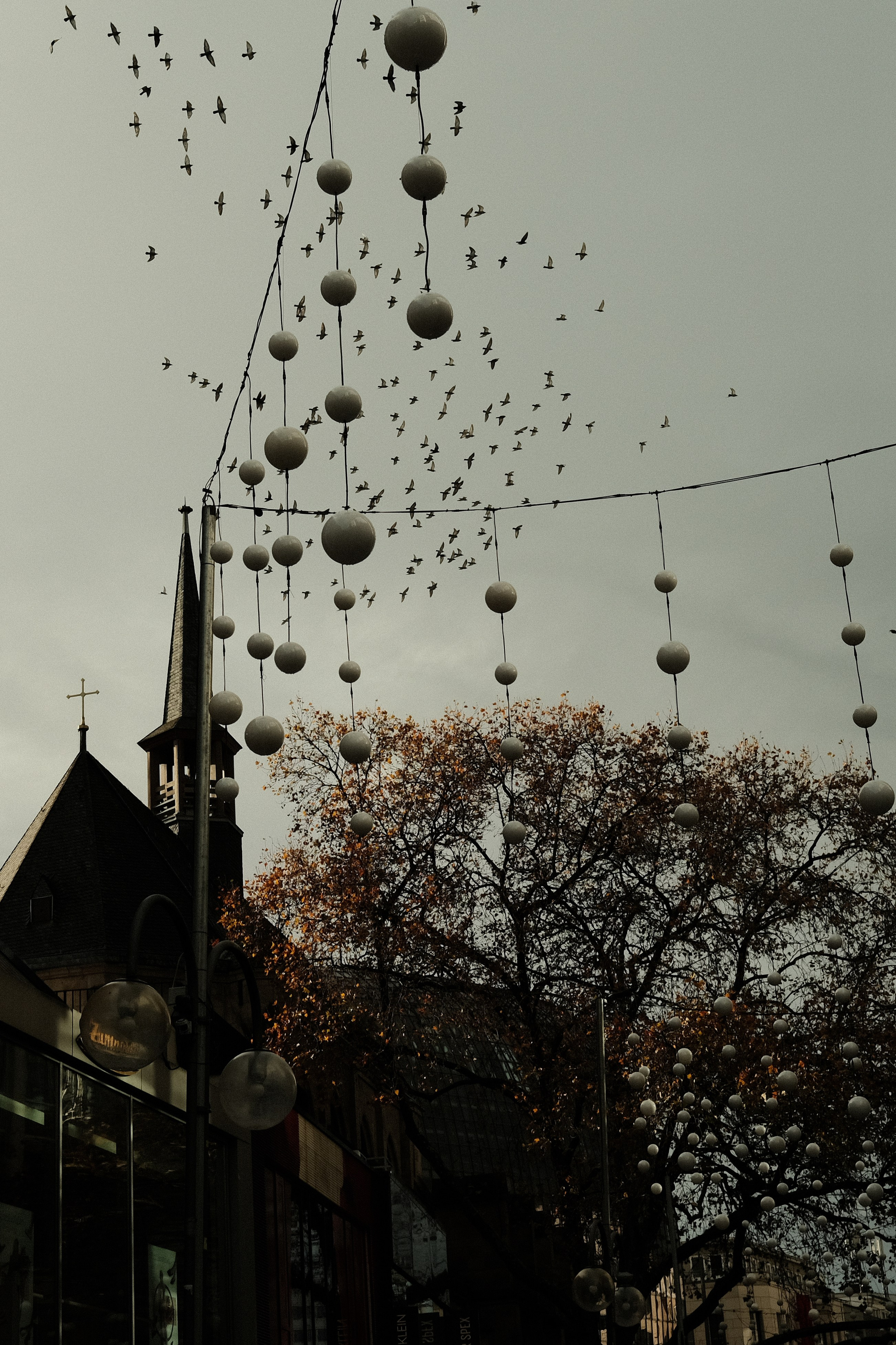 Кёльн — фотосессия и репортаж | Филипп Линзин. Репортажный и портретный фотограф в Санкт-Петербурге Филипп Линзин