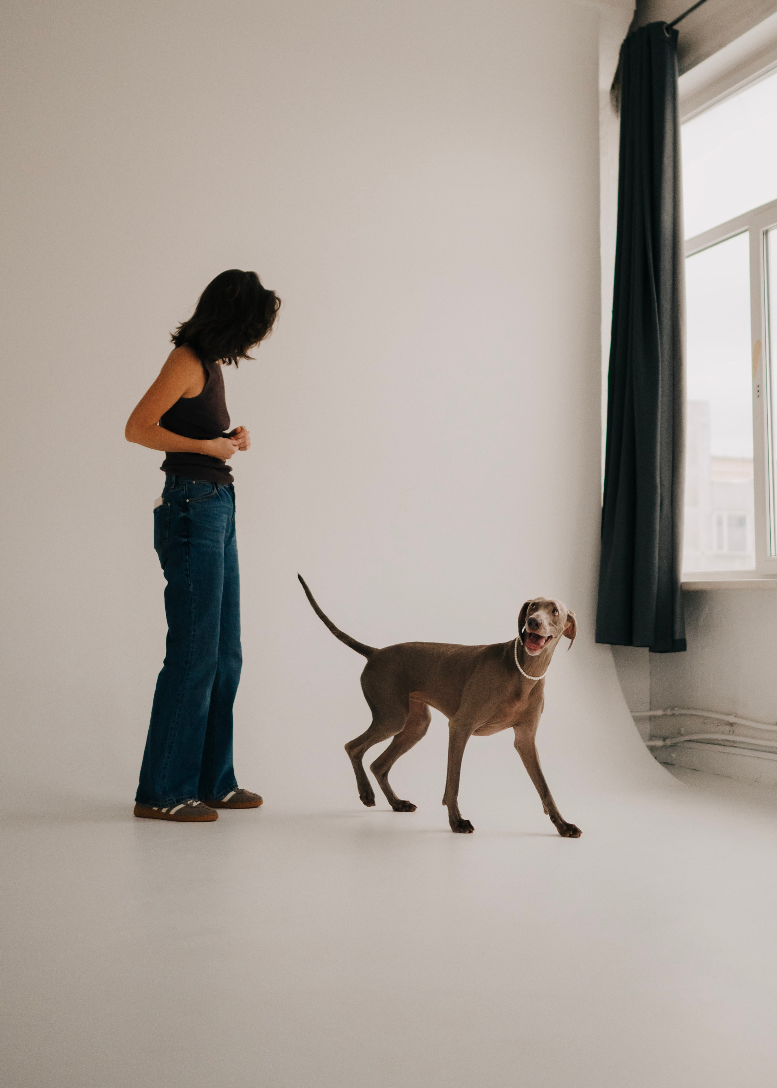 Фани. Фотограф- анималист Александра Матвеева