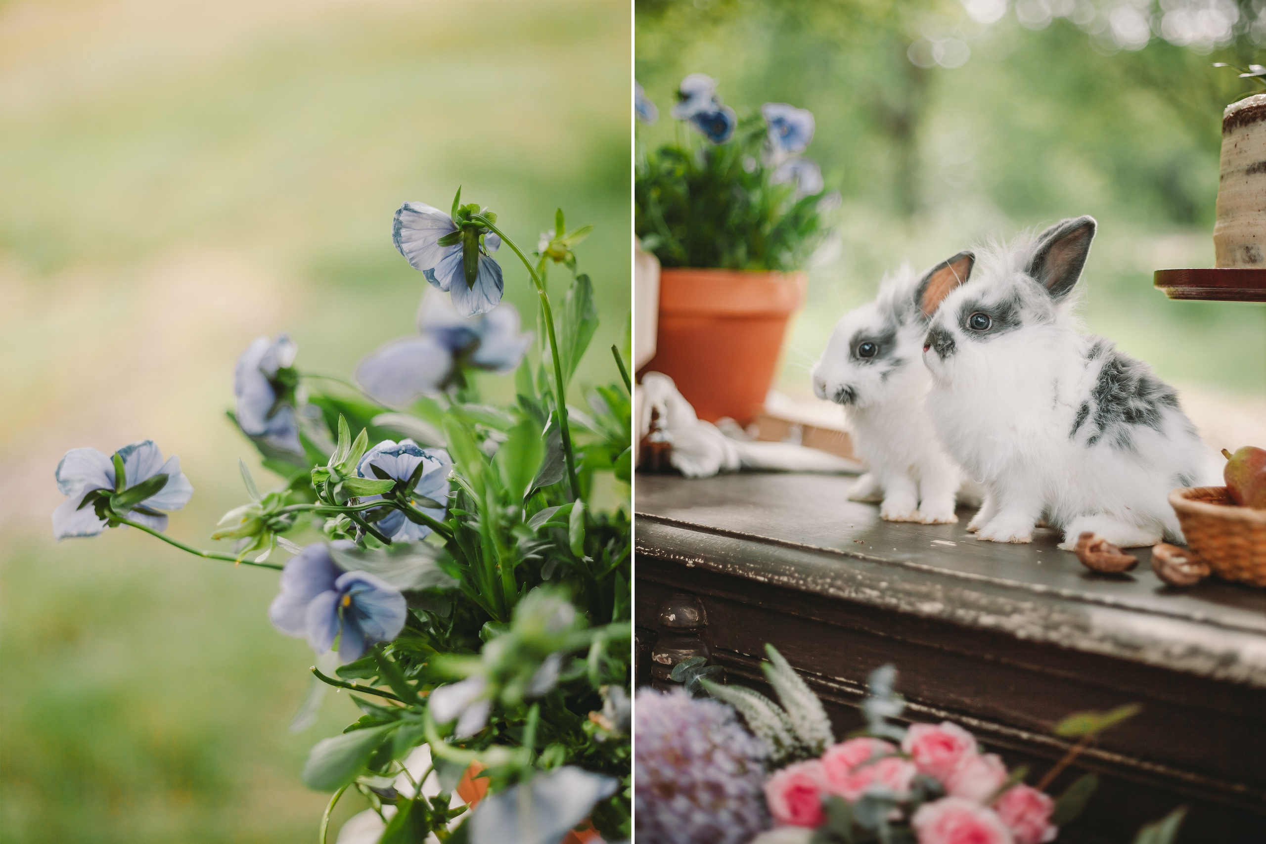 В дубовой роще. Фотограф Катя Дубовик