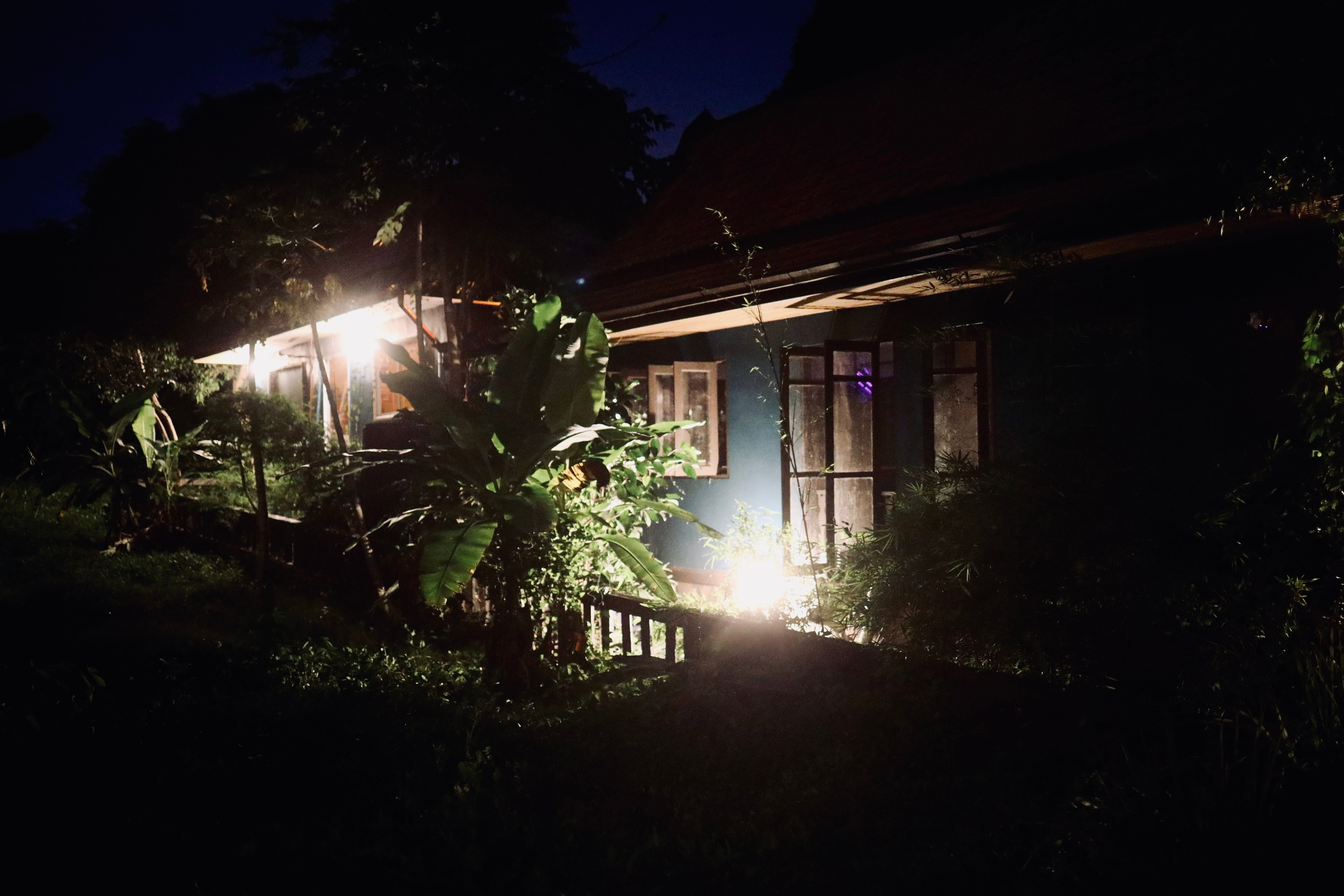 Night inhabitants of Samui Island / Thailand 2024. POLINA MÔMOT