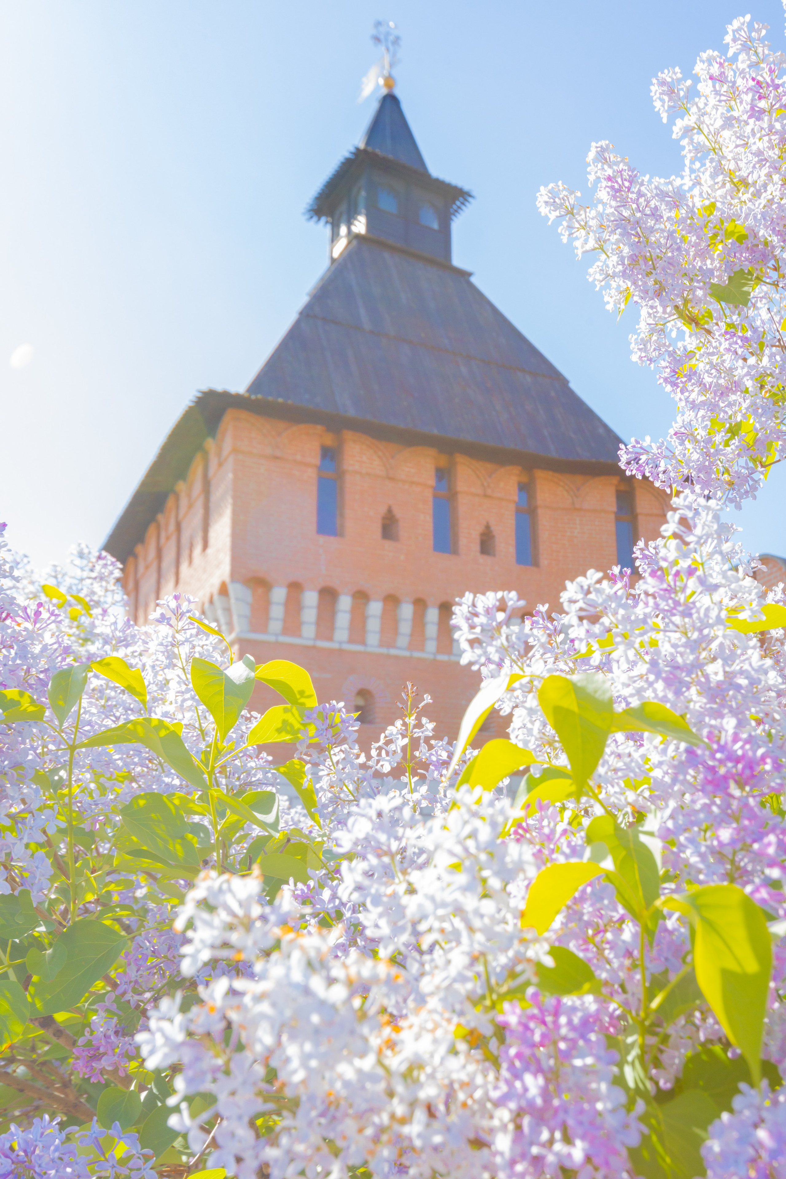 Весеннее цветение в Туле. Фотограф в Туле Крупский АнДРей. Фотостудия «КАДР71» в Туле