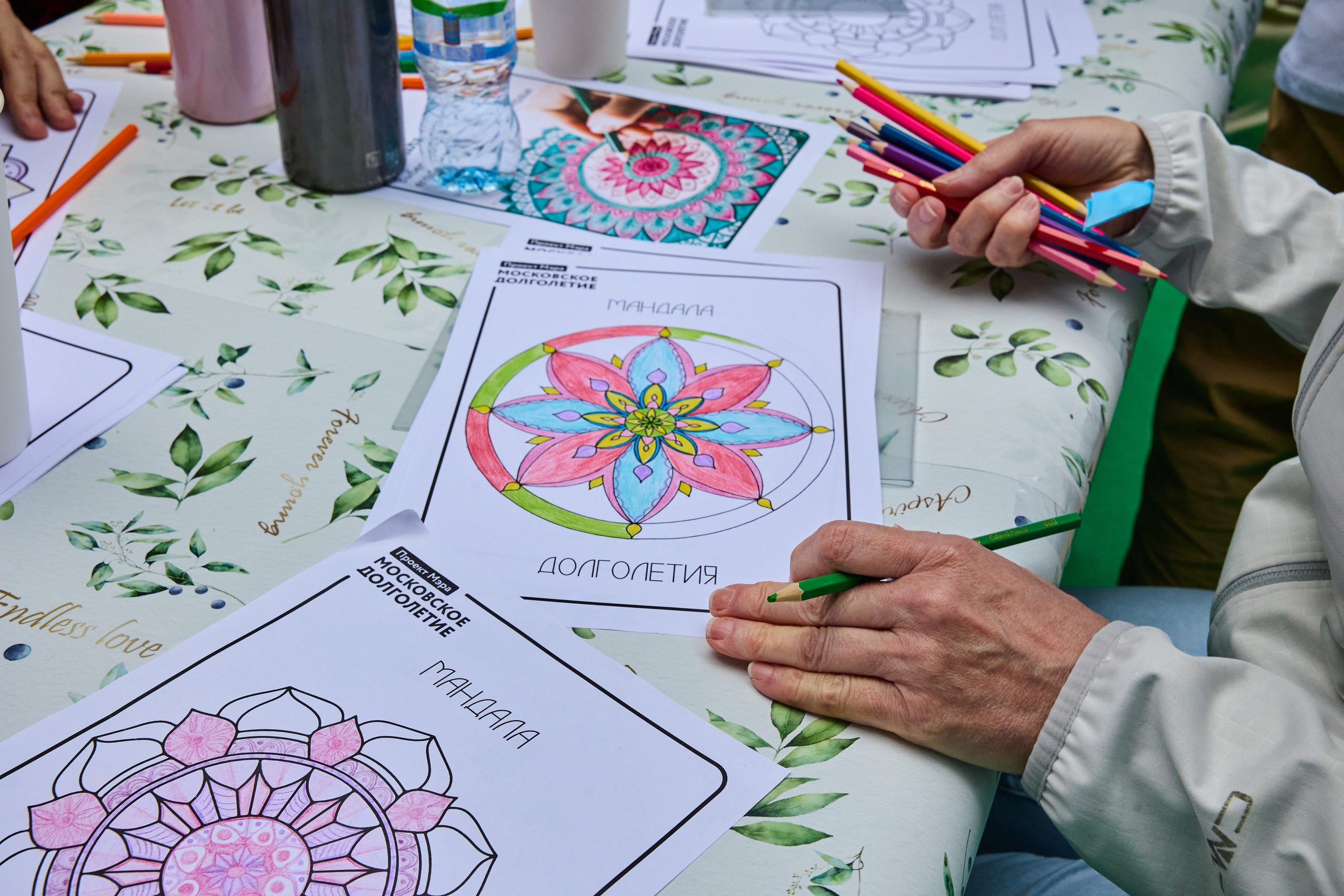 Репортаж. Главная