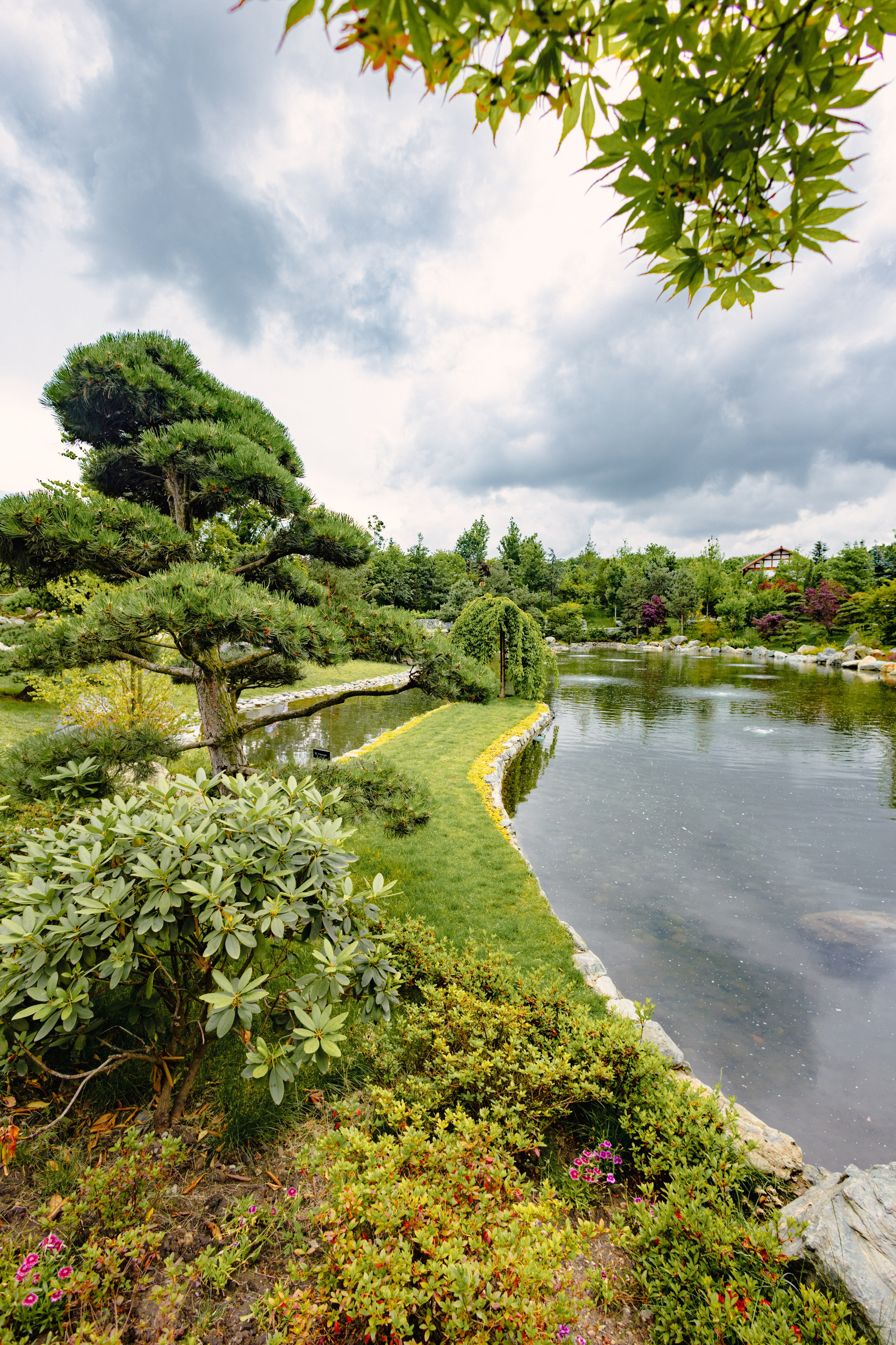 Японский сад в Краснодаре. Профессиональный фотограф и видеооператор