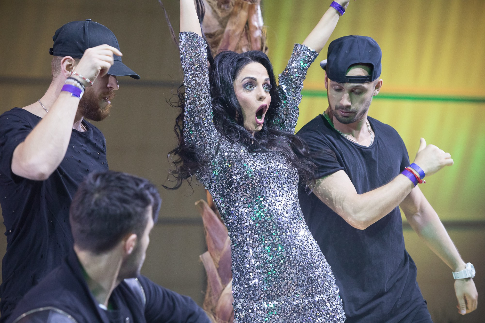 Развлекательная программа. Дмитрий Шишкин