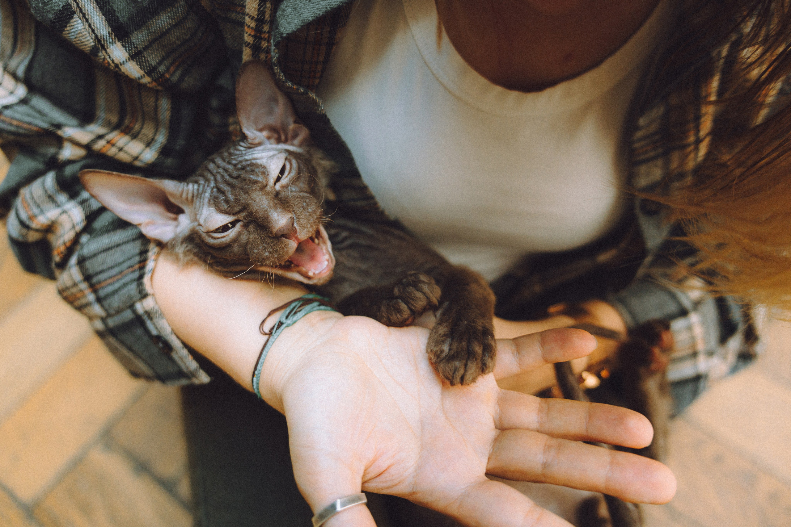 Кокос, Света, Динара и Вилли