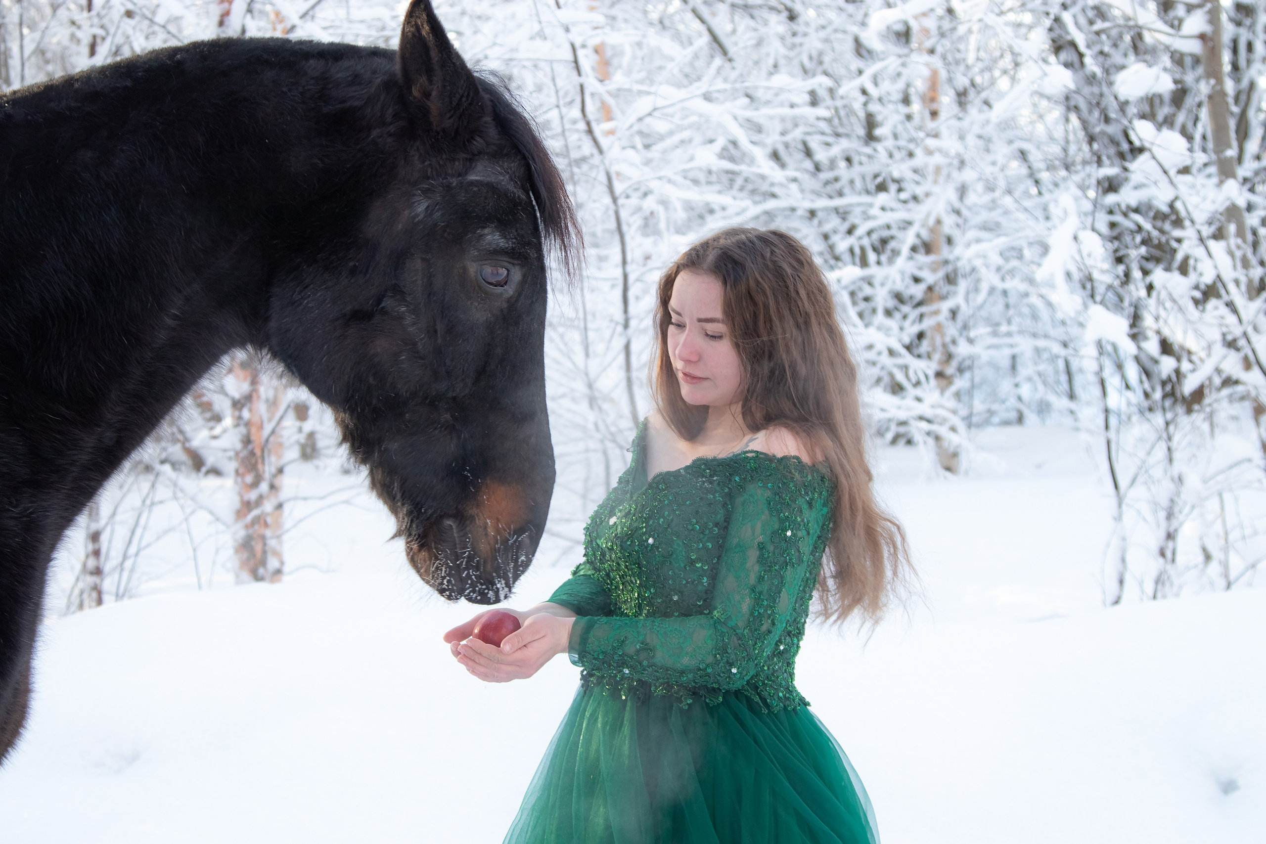 Алёна и Брайс. Портретный и пейзажный фотограф Никита Павлов