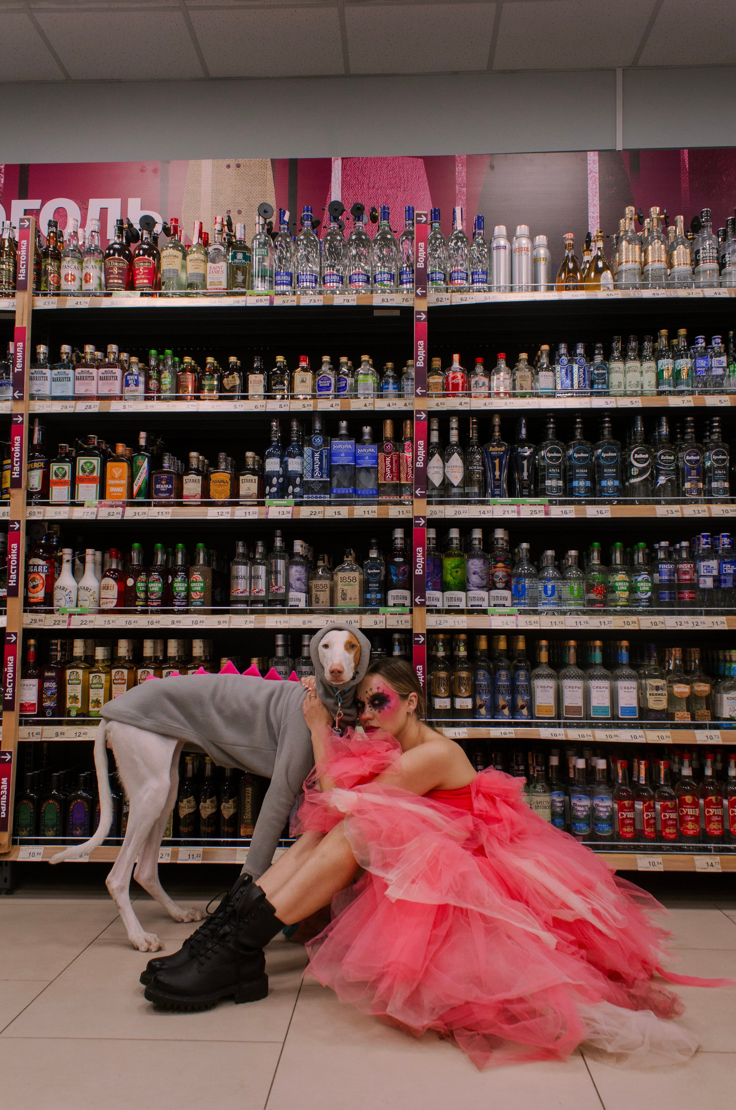 Яркая собачья жизнь