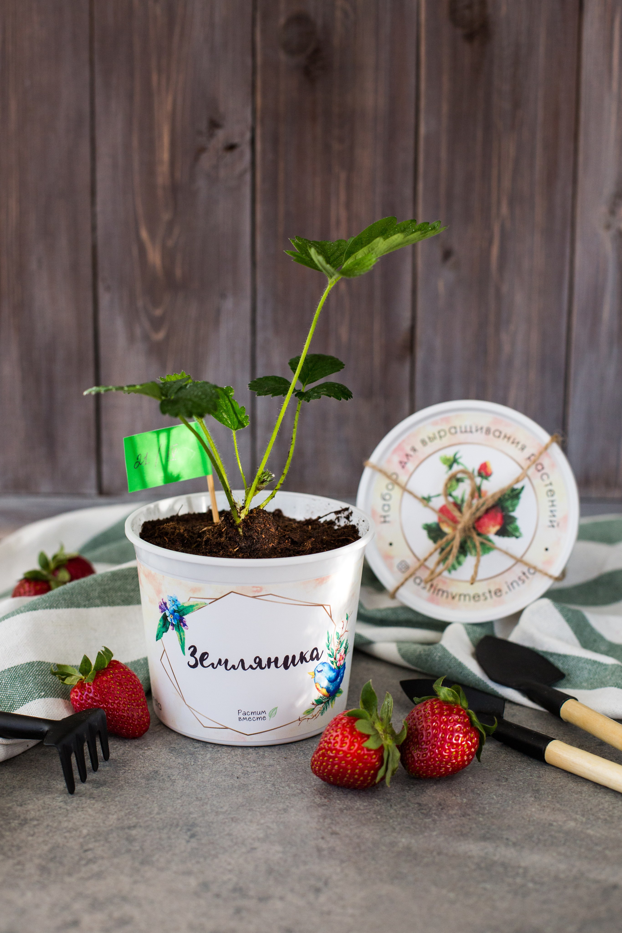 Растим вместе. Главная