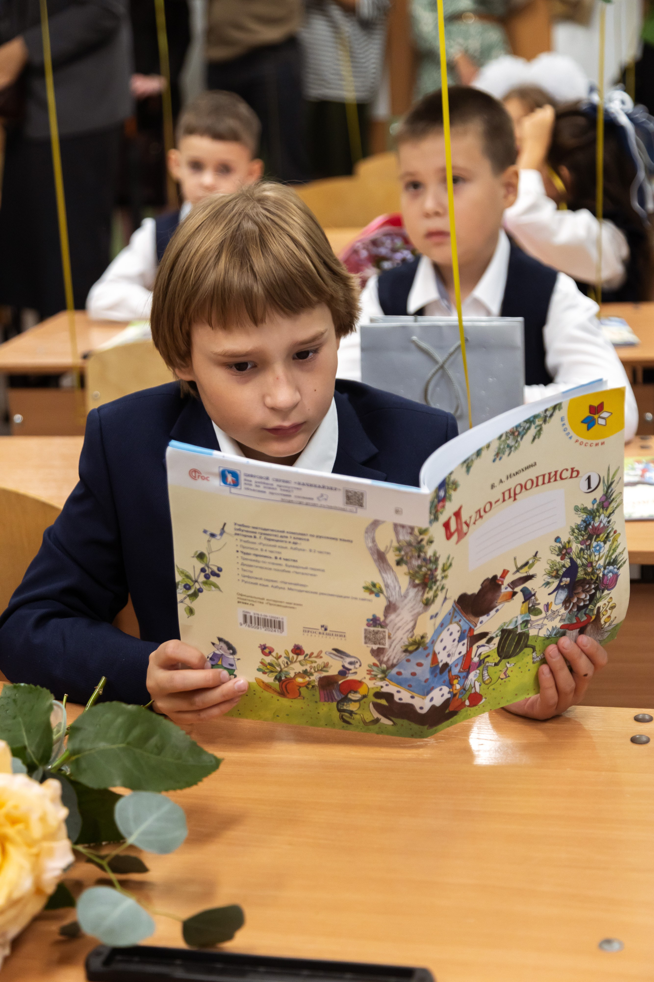 Школа. НАСТИН ВЕТЕР — фотографии о тебе Анастасия Карнаухова — фотограф твоей личности