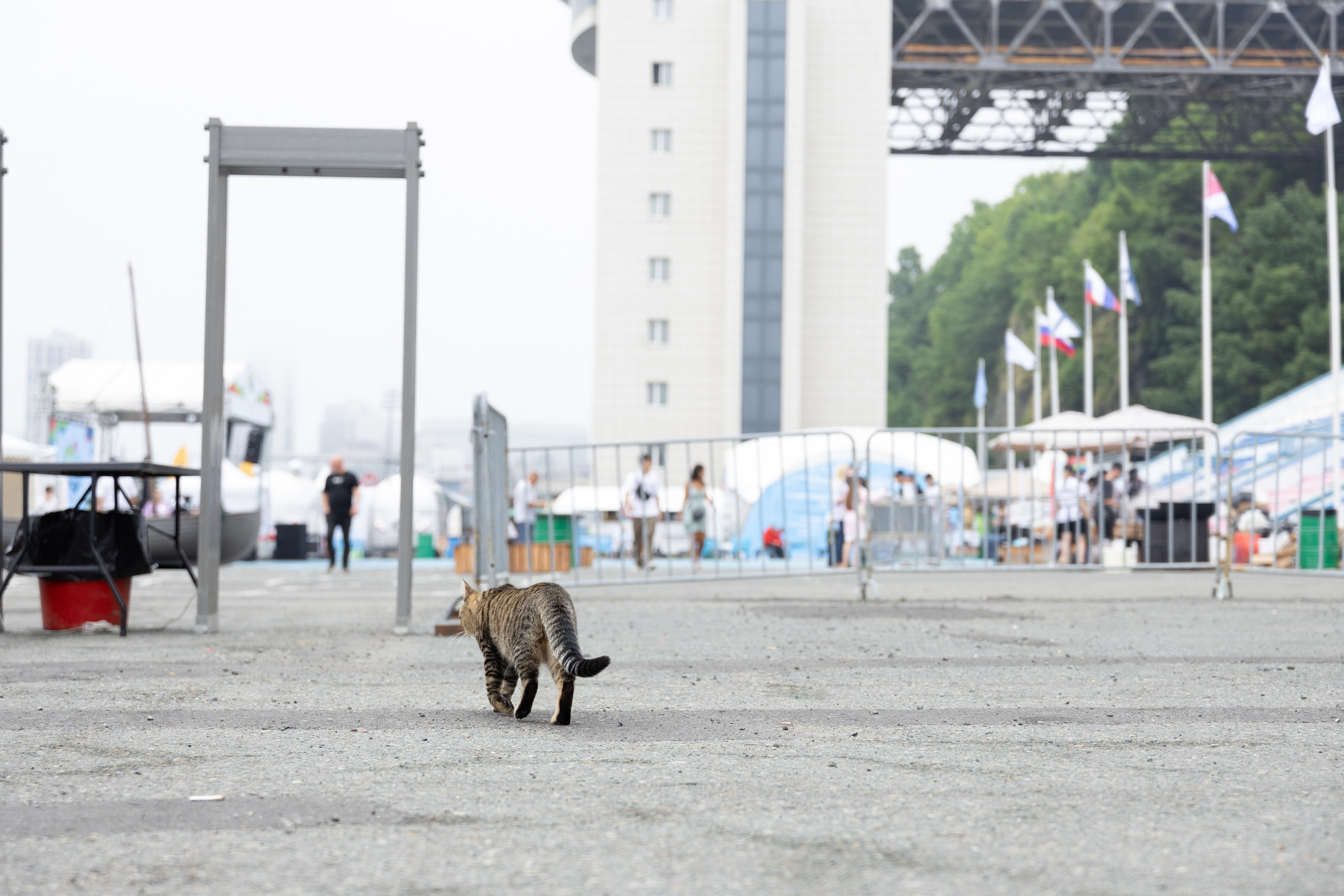 День Рыбака. Олег Катакинов| Репортажный фотограф в городе у моря (Владивосток)