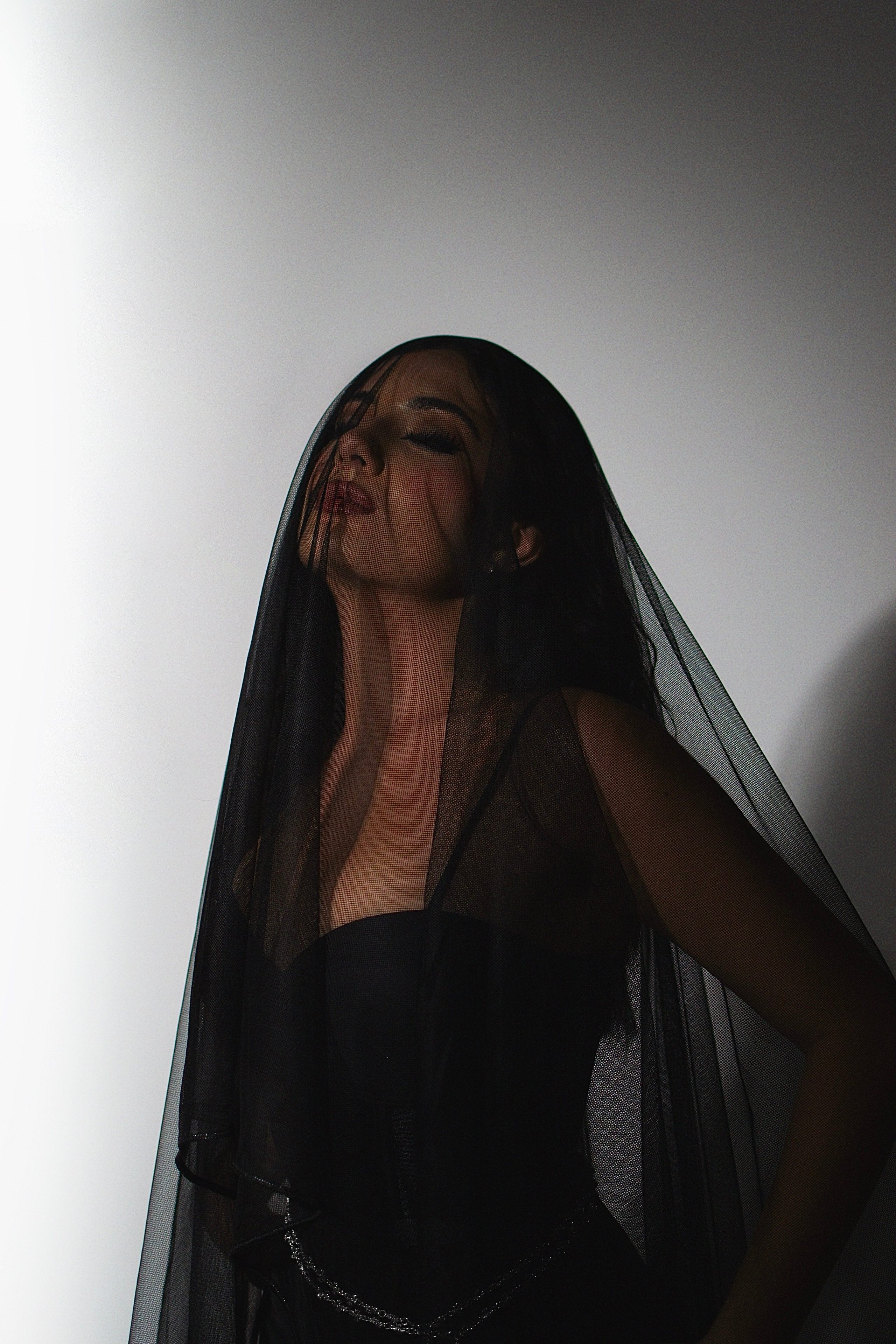 Morticia Addams. Фотограф Медведева Христина г. Санкт-Петербург