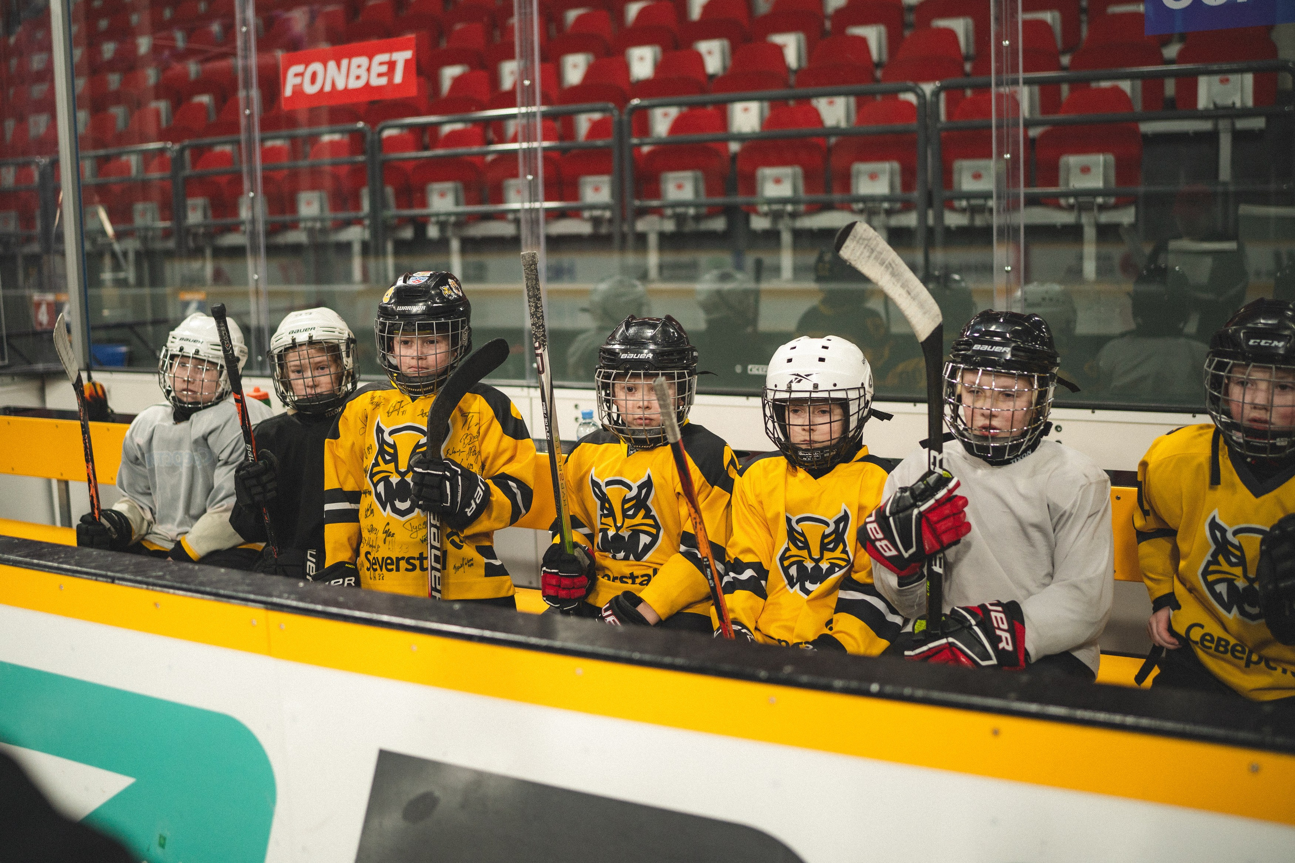 ХК Северсталь (младшая группа). Череповец. Zekons. Фото, видео, нейросети