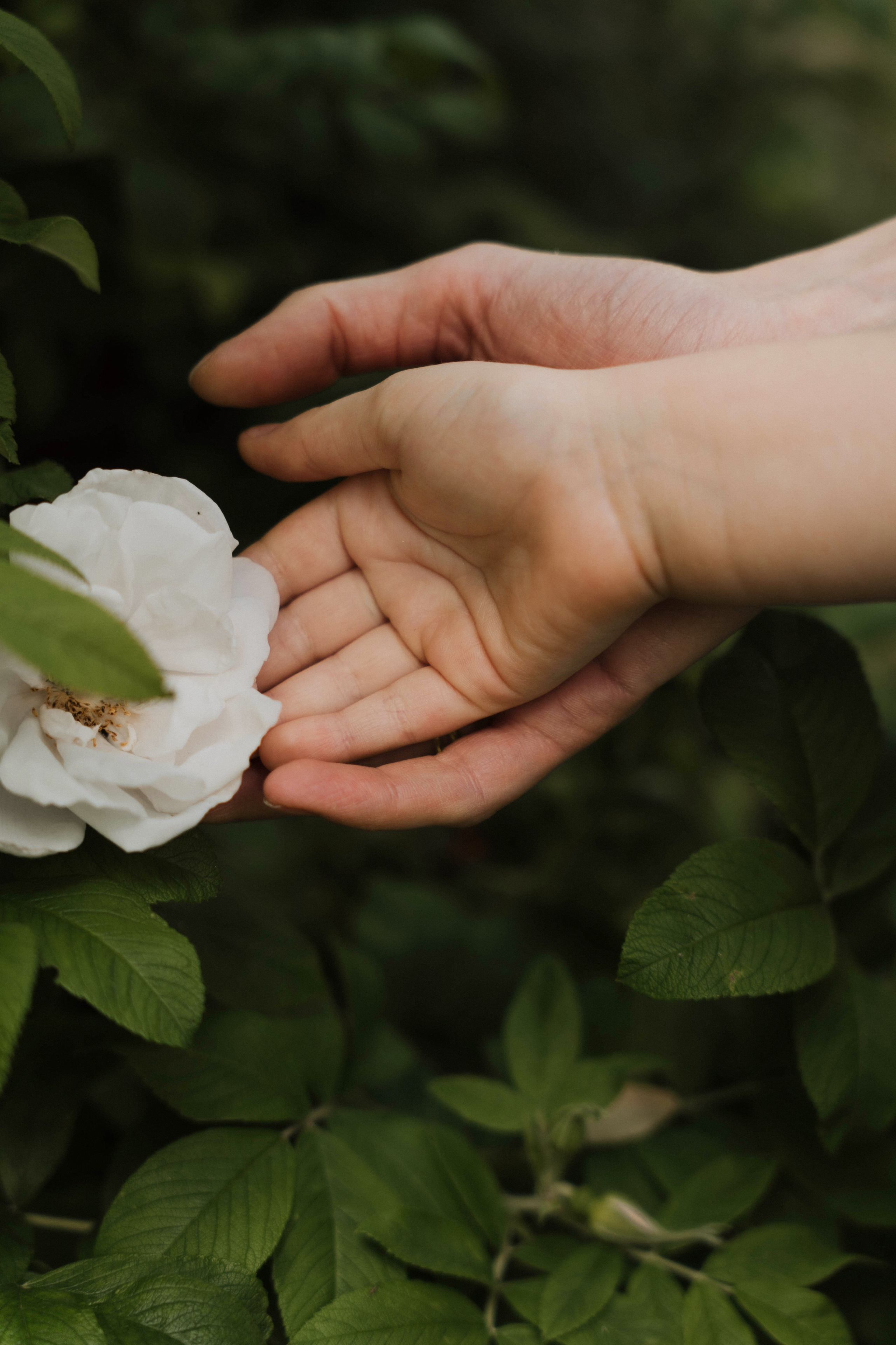 Семейные истории. ФОТОГРАФ КСЕНИЯ СОСНОВСКАЯ