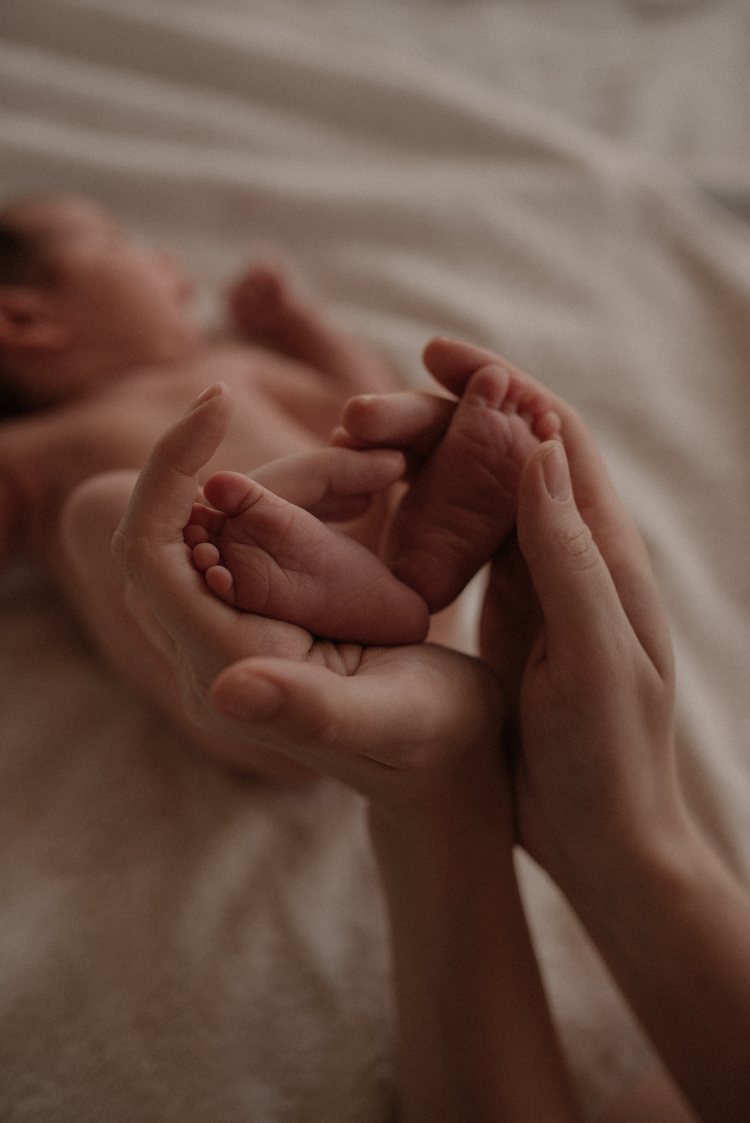 New born. Семейный фотограф в Новосибирске Екатерина Лопатина