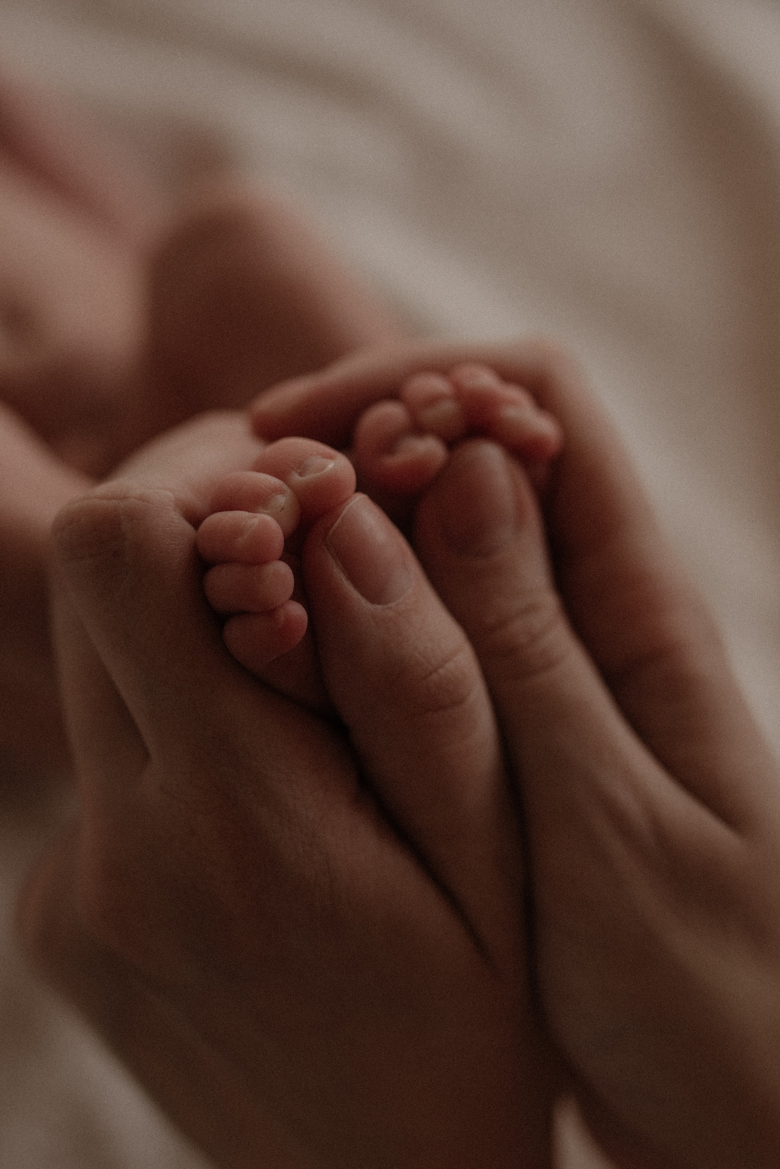 New born. Семейный фотограф в Новосибирске Екатерина Лопатина