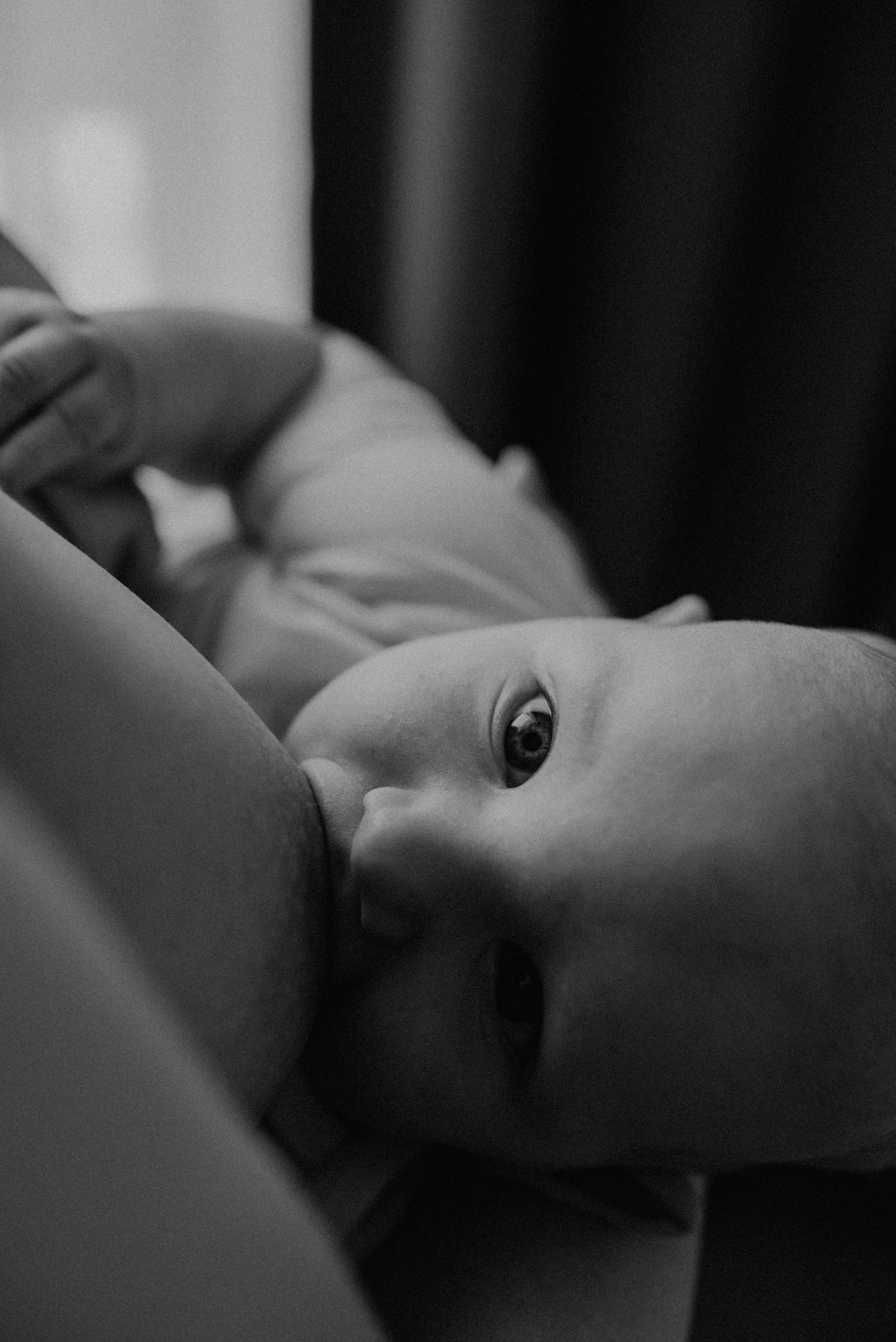 New born. Семейный фотограф в Новосибирске Екатерина Лопатина