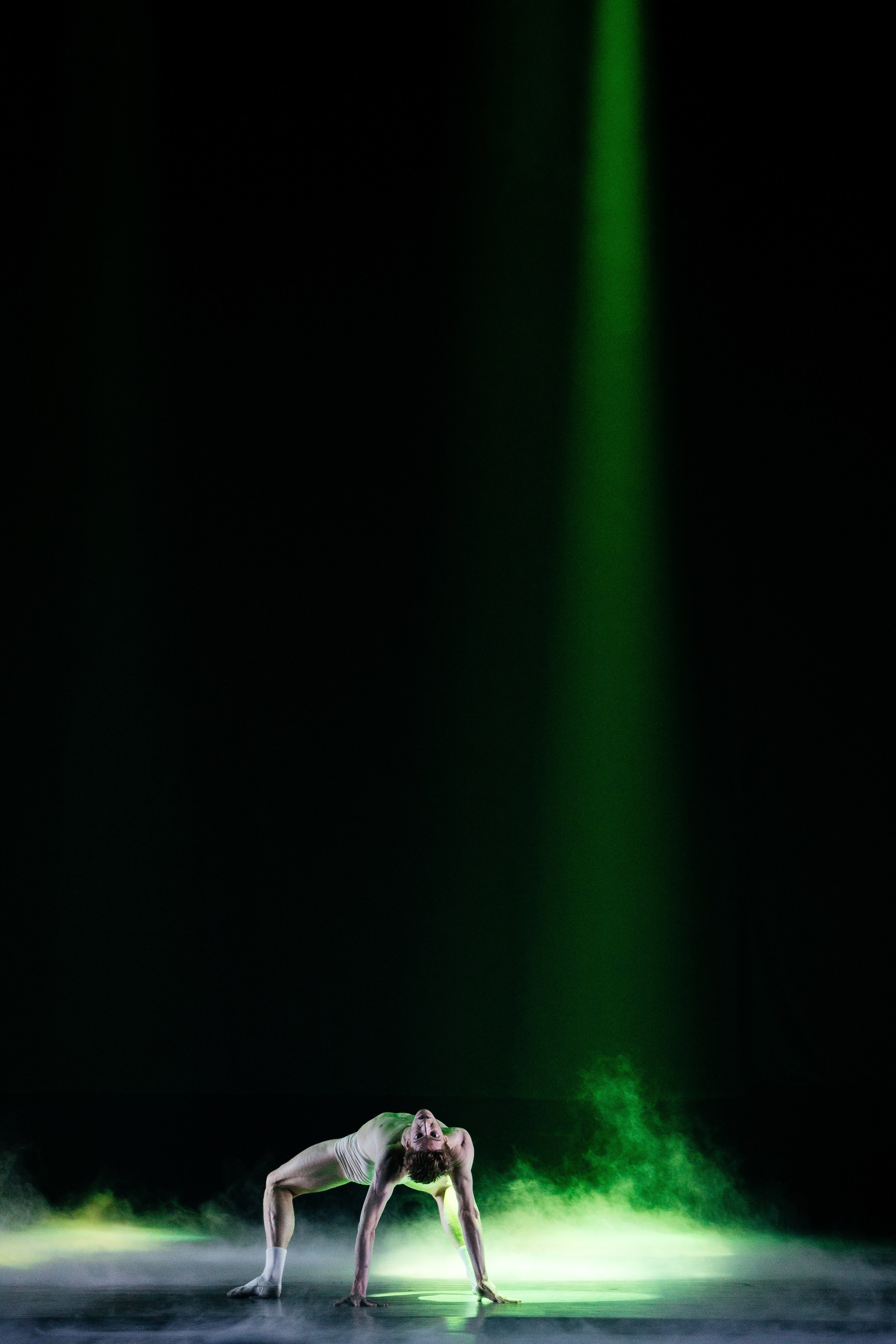 Мастер и Маргарита. Светский фотограф — Анисина Ирина