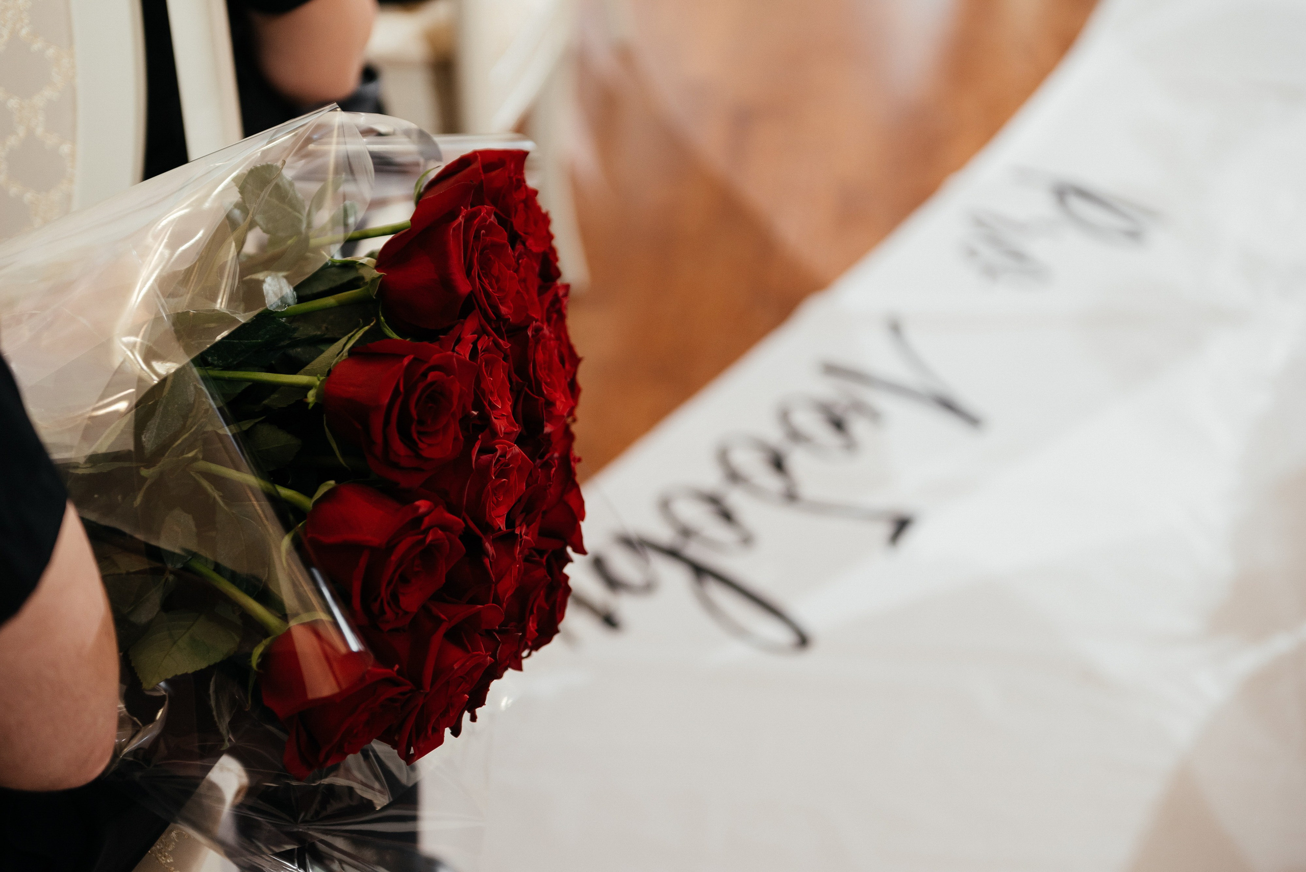 Руслан и Ольга. Zhulanovilya