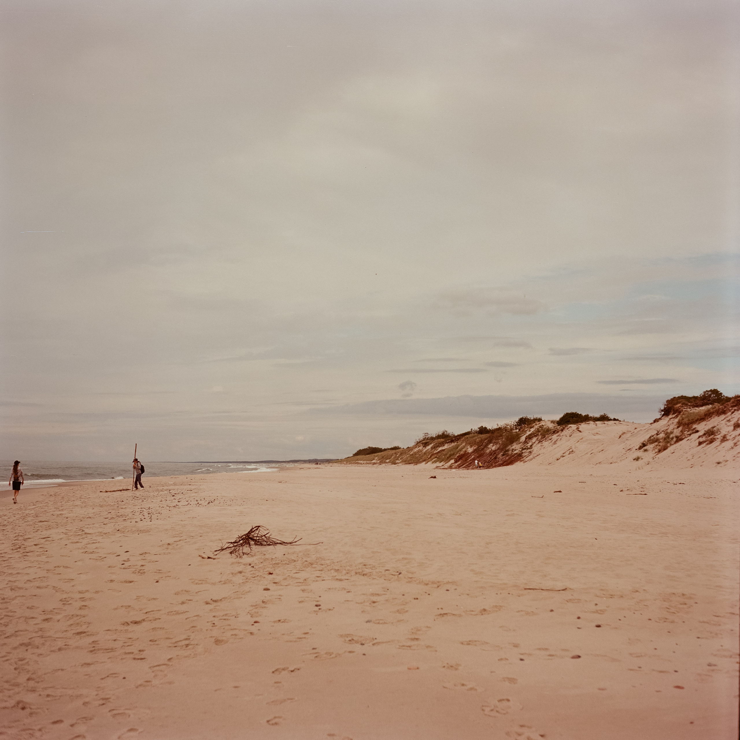 Куршская коса / Super Fujica-6 / Kodak Aeronega 100 (Kodak Aerocolor IV)