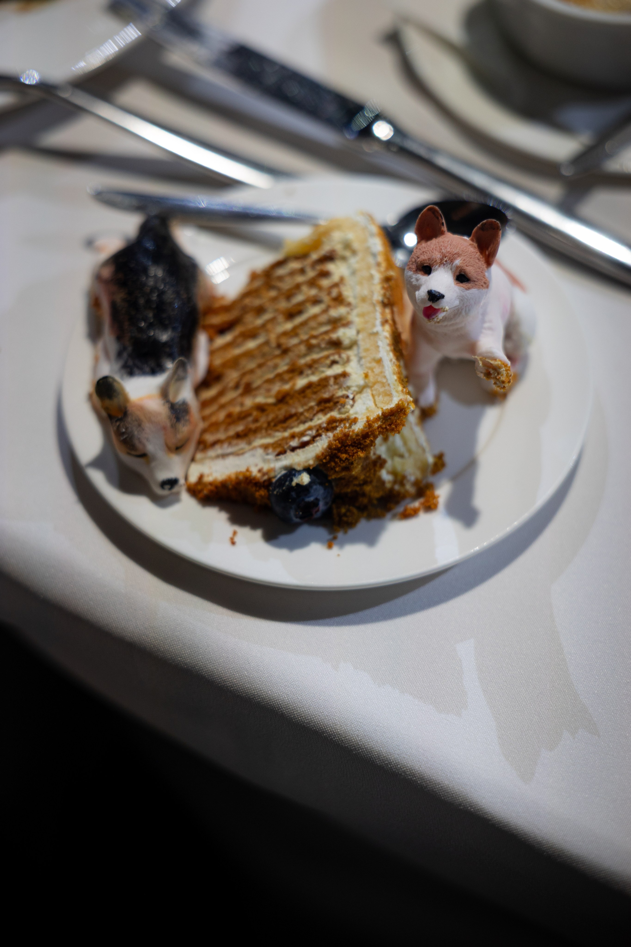 Мария и Сергей. Ваш фотограф — Александра Андрущенко