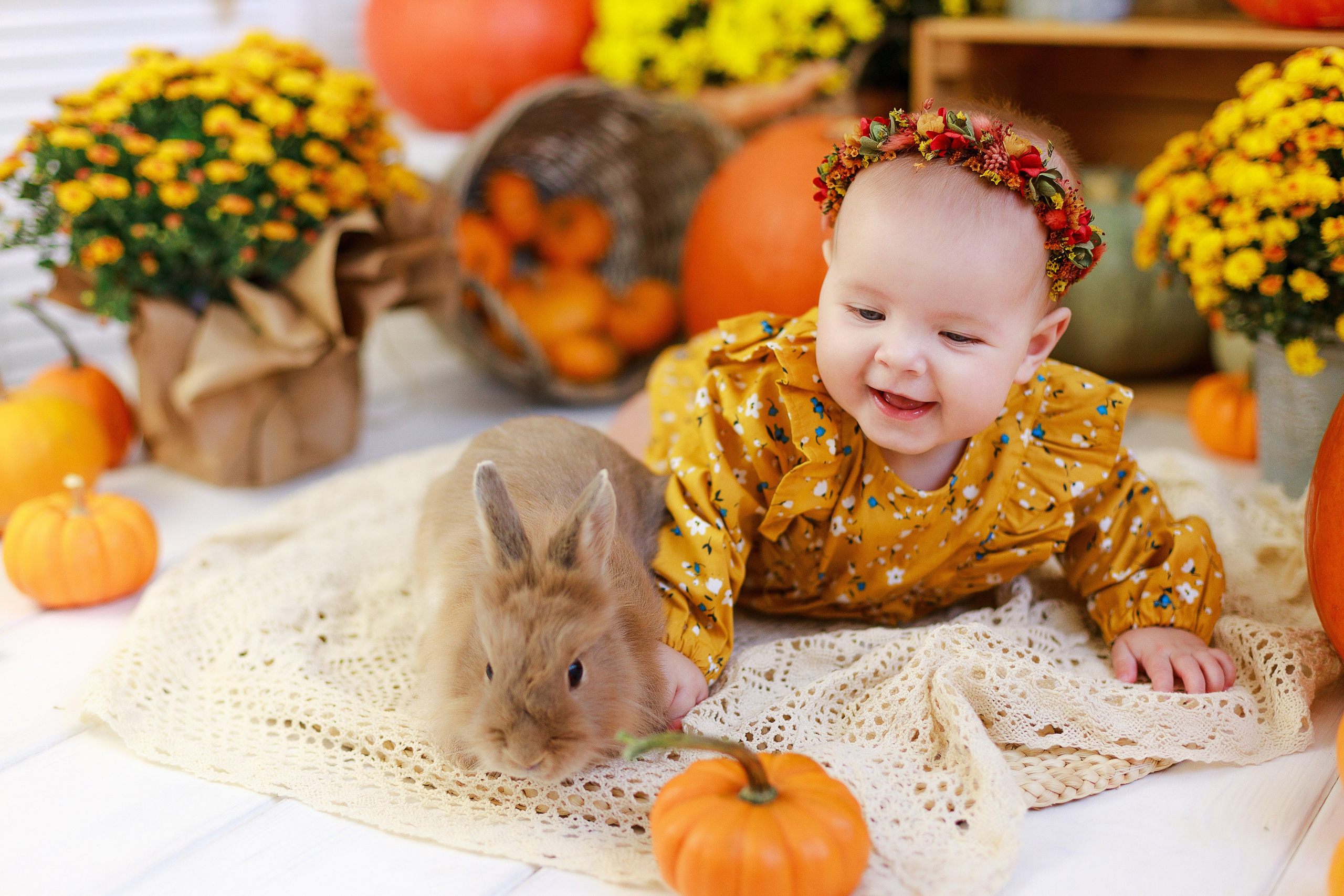Осенняя детская фотосессия с тыквами и кроликом в Краснодаре. Детский и семейный фотограф в Краснодаре Альбина Морозова