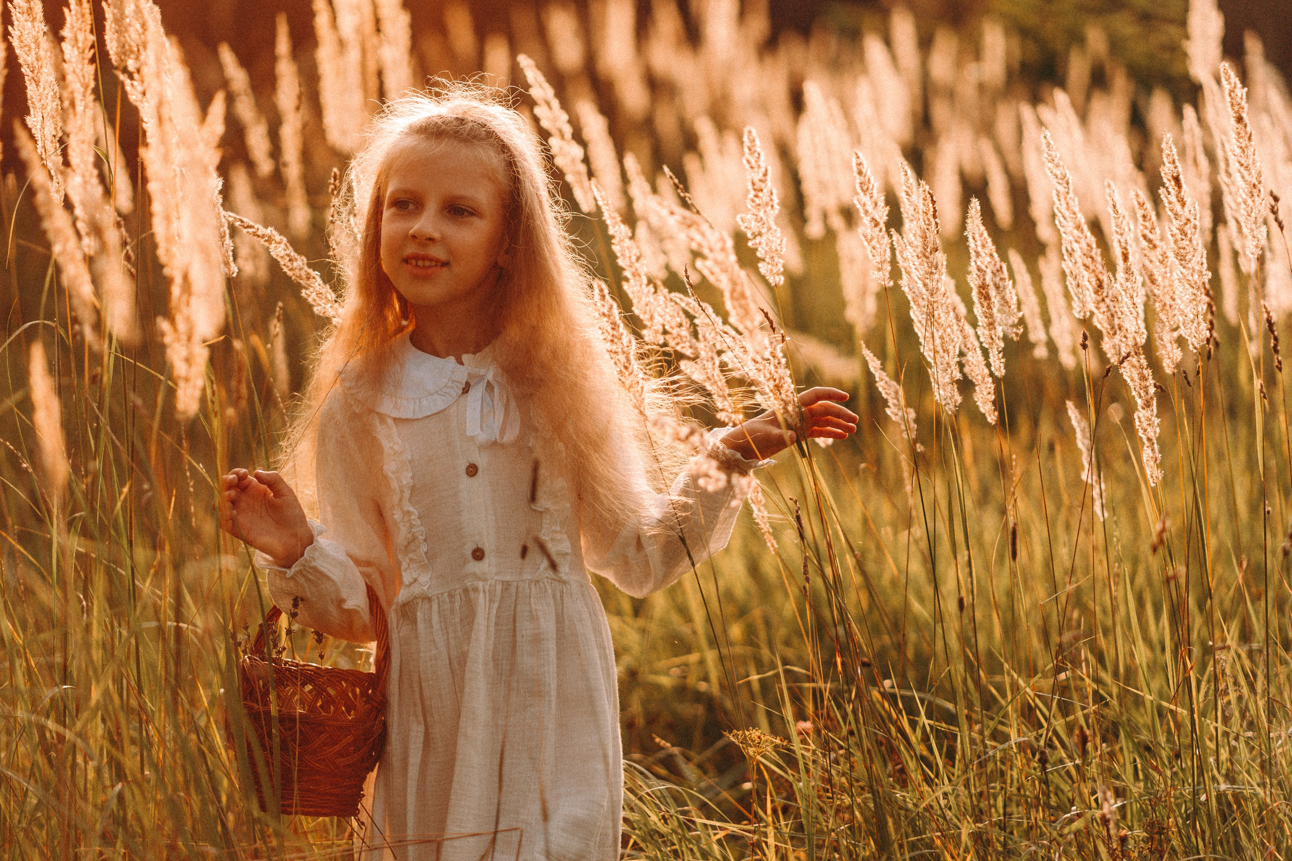 Летнее золото в волосах. Главная