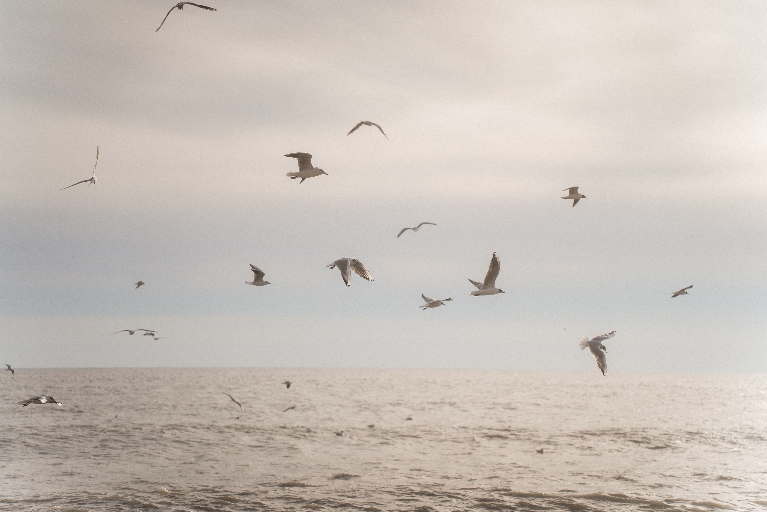 Горы море. Агата Акварель видеограф Сочи Краснодар