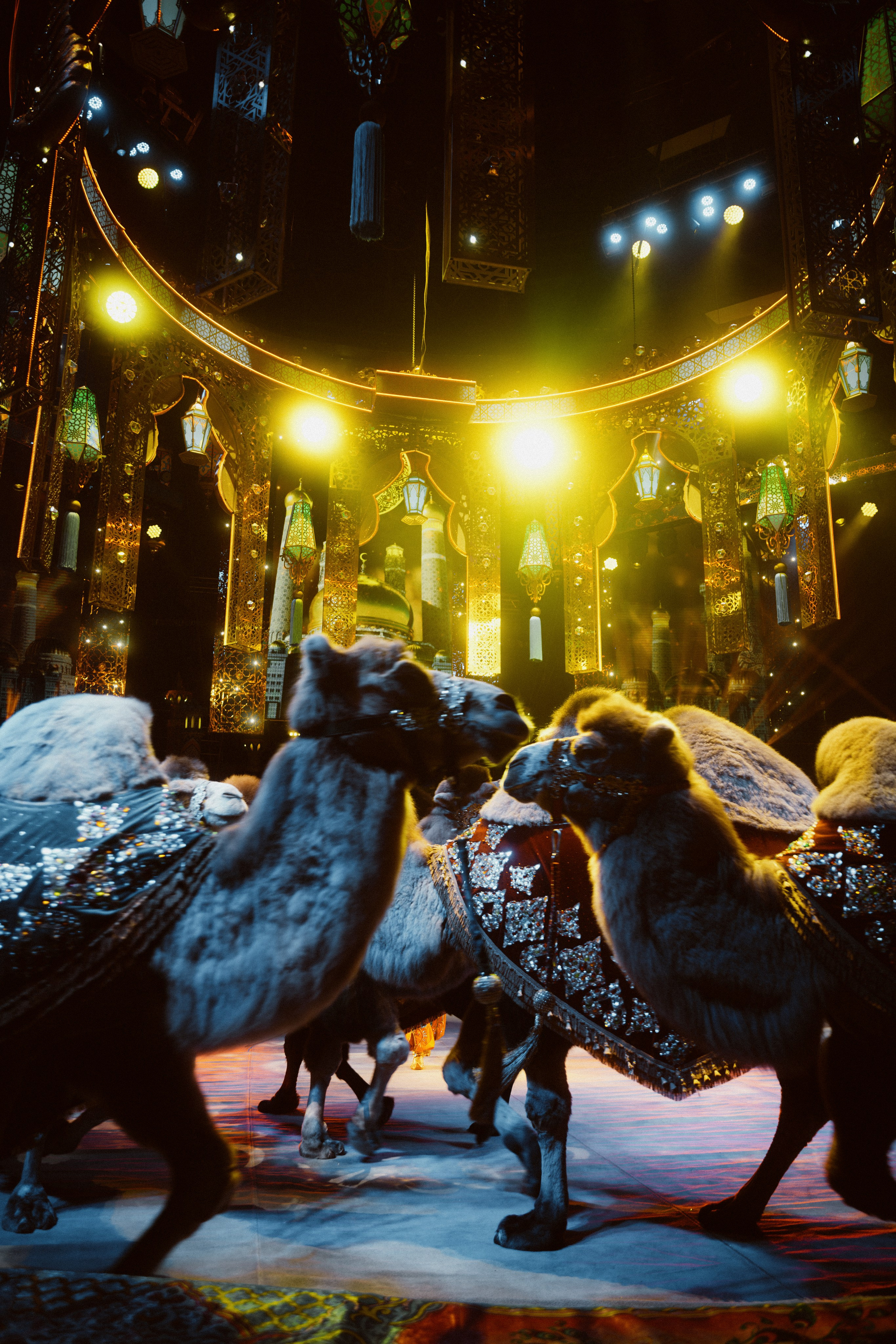 КОНЦЕРТЫ И ШОУ. Фотограф Владивосток Ян Паклин