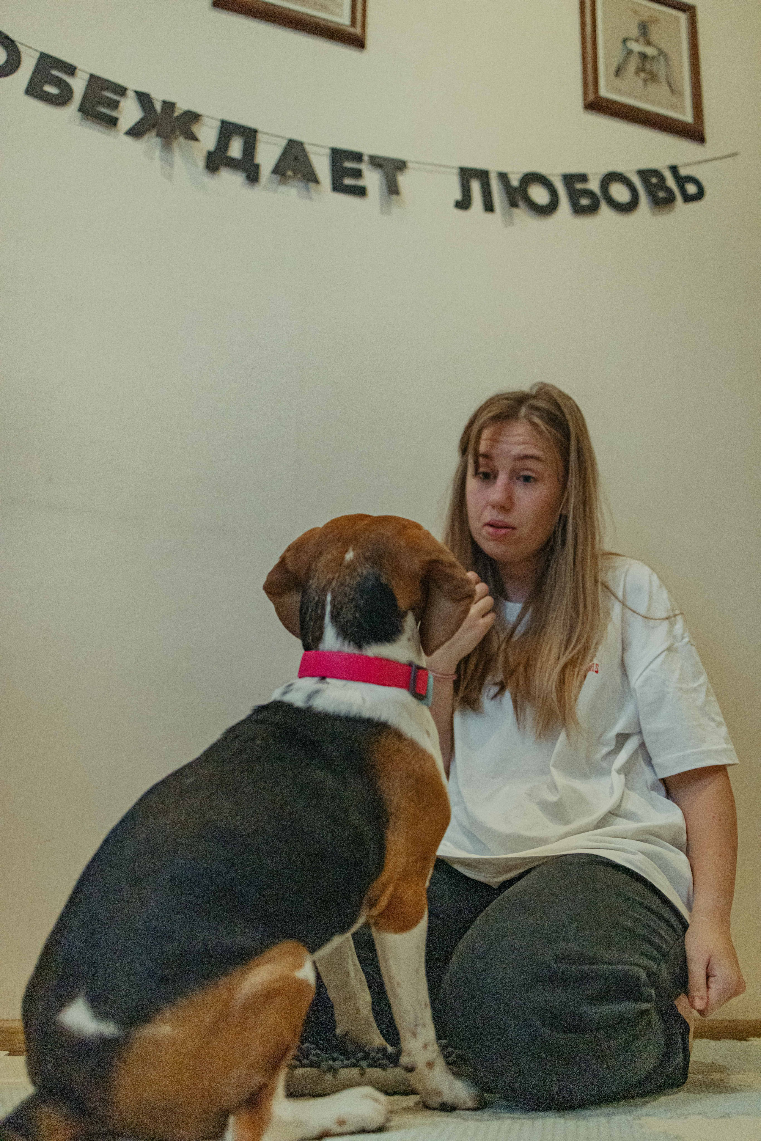 Света и Ива. Фотограф-анималист в Москве Лера Черноног