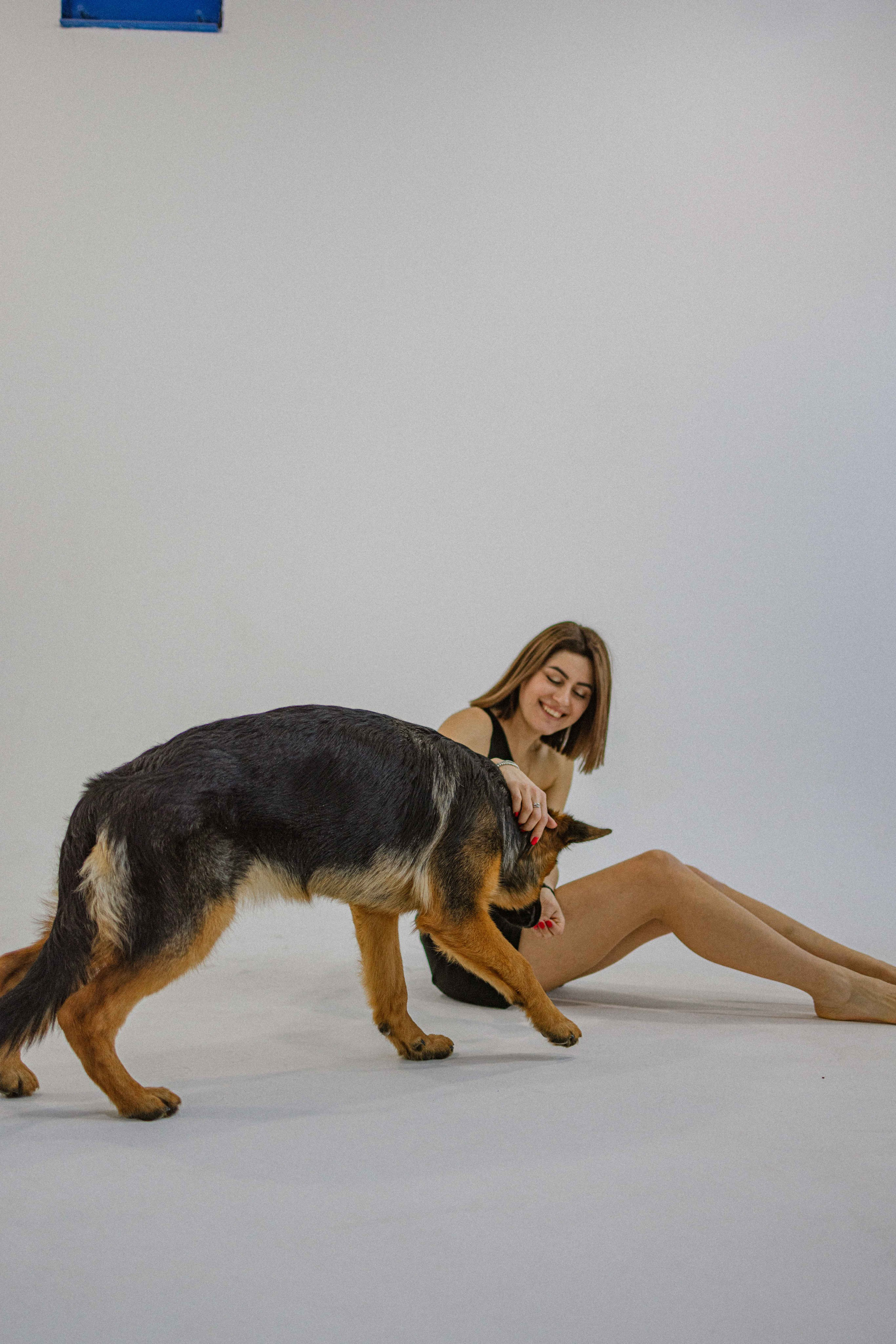 Ася и Буся. Фотограф-анималист в Москве Лера Черноног