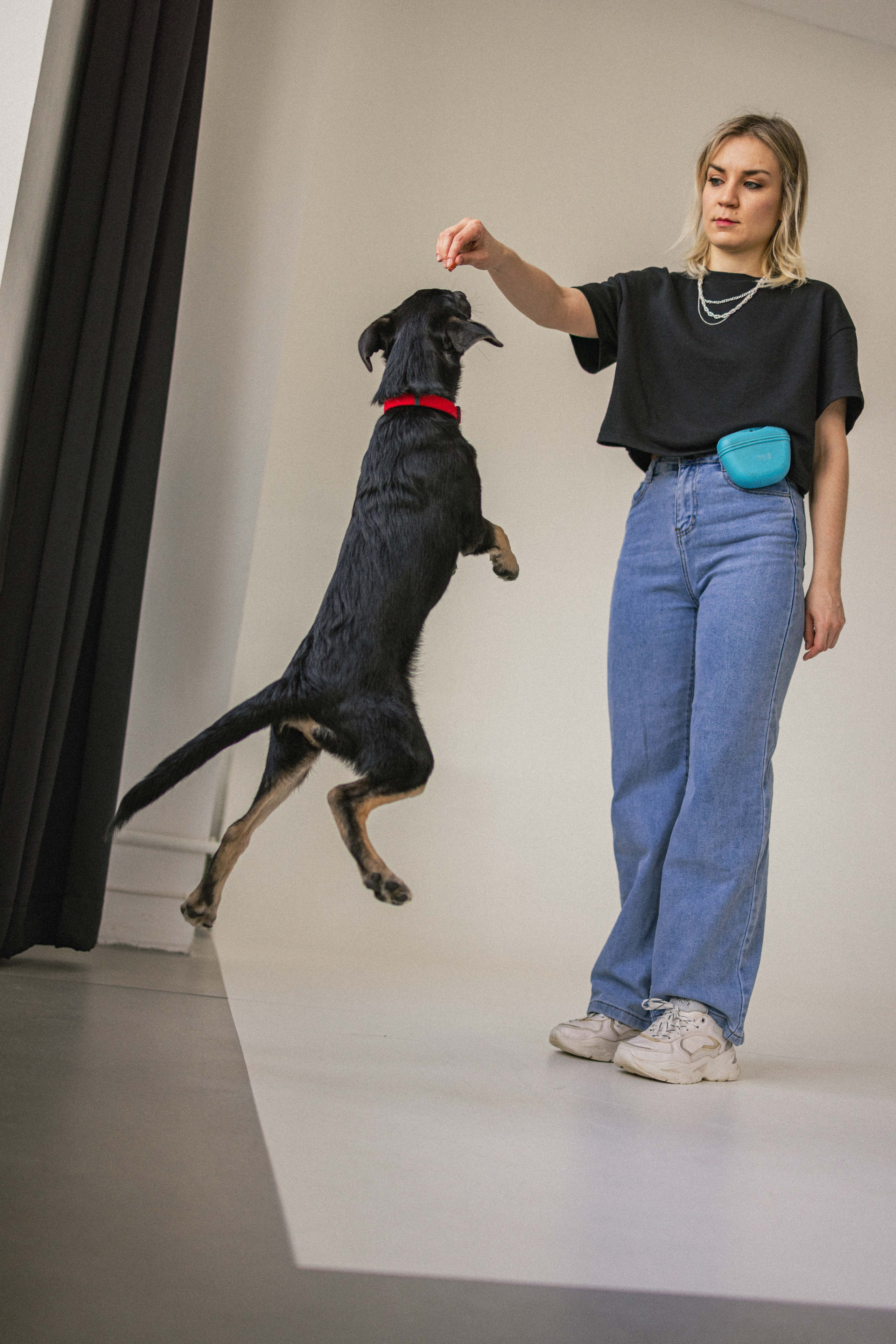 Крис и Тэдди. Фотограф-анималист в Москве Лера Черноног