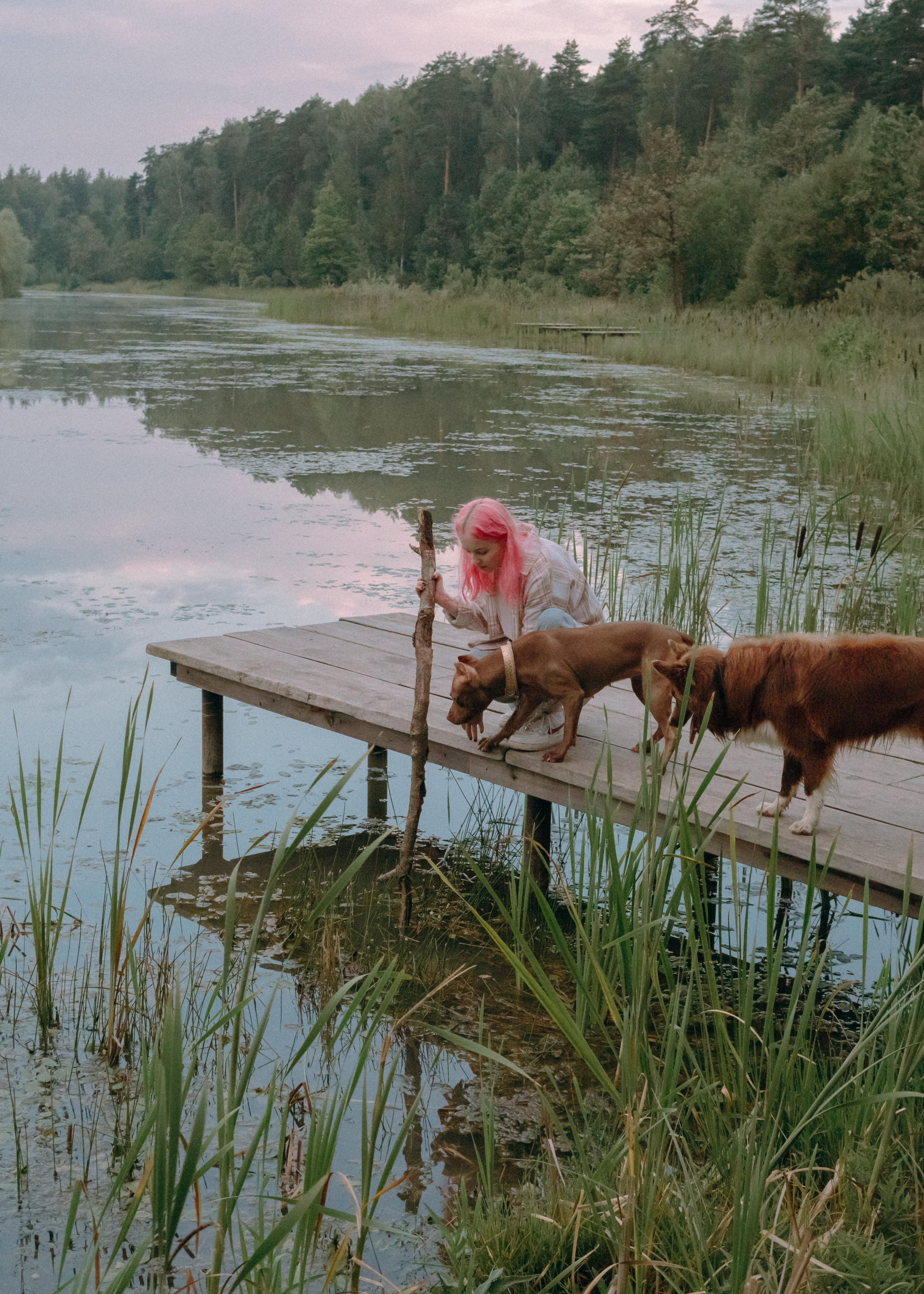 Виолетта, Лила и Питер. Фотограф-анималист Ксения Воробьева, Москва