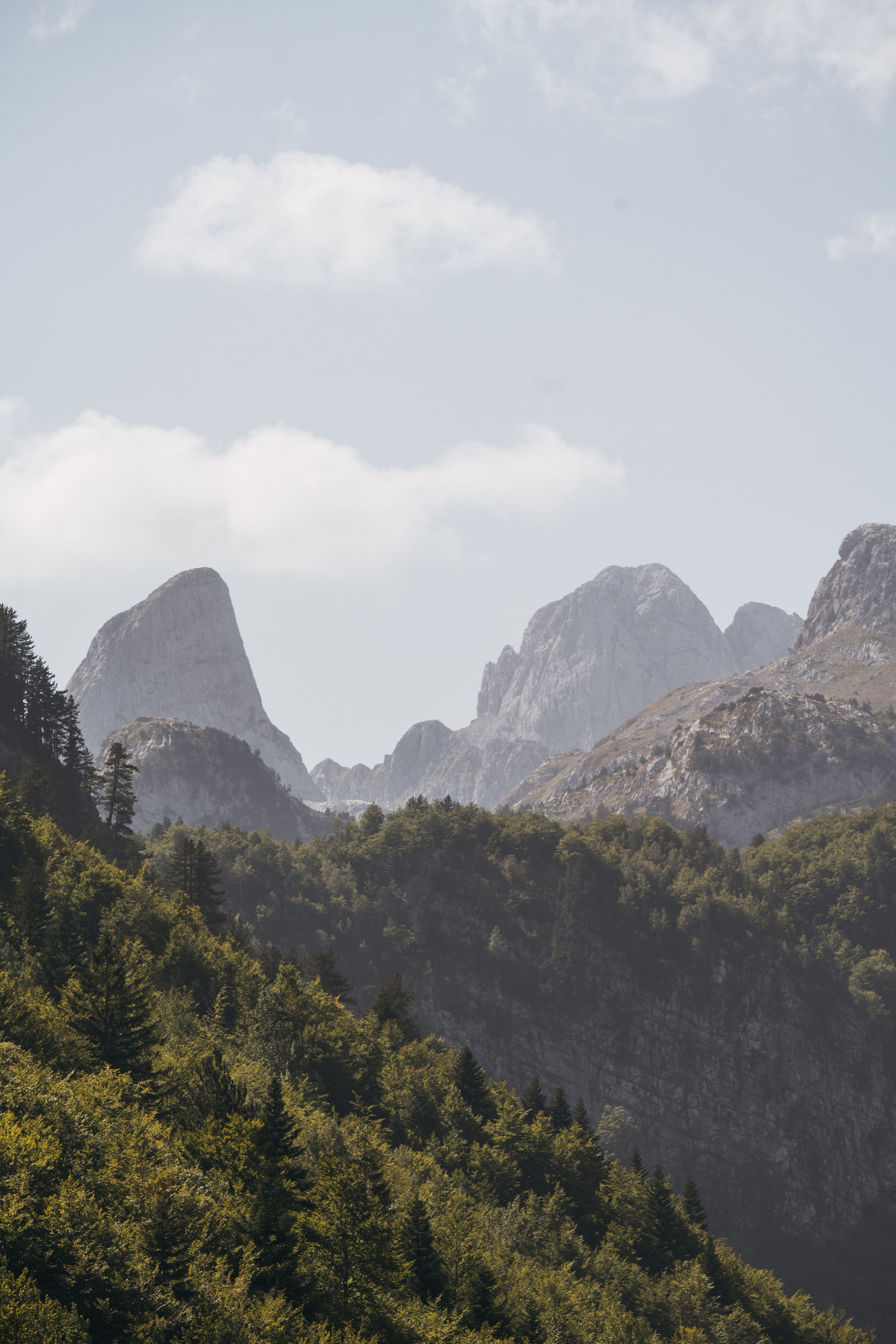 ДОЛИНА РАПОЯНА. ЧЕРНОГОРИЯ. Фотограф в Белграде Чугреева Елена
