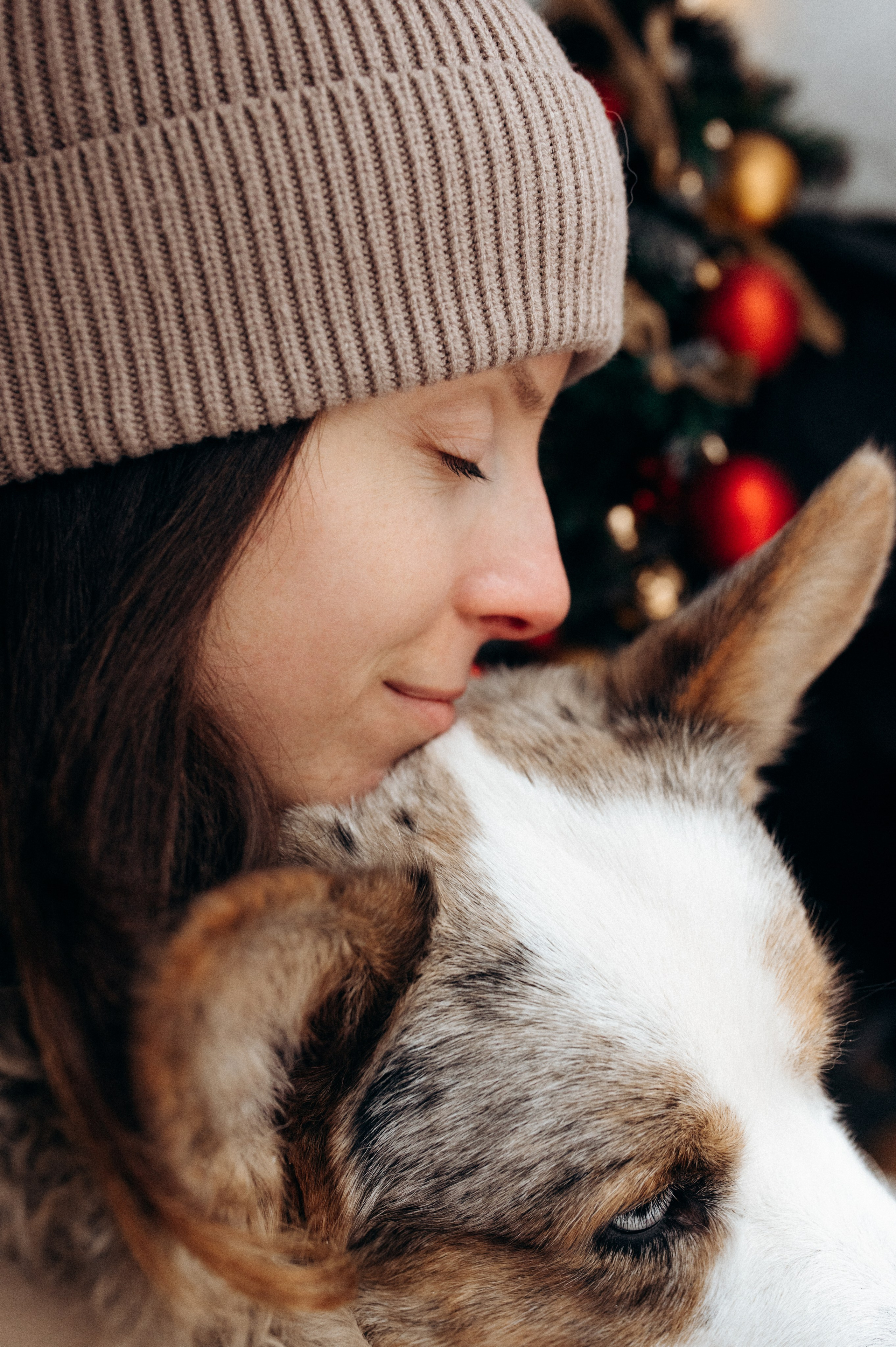 Маша и Дэф. Фотограф анималист в Москве Ольга Агушева