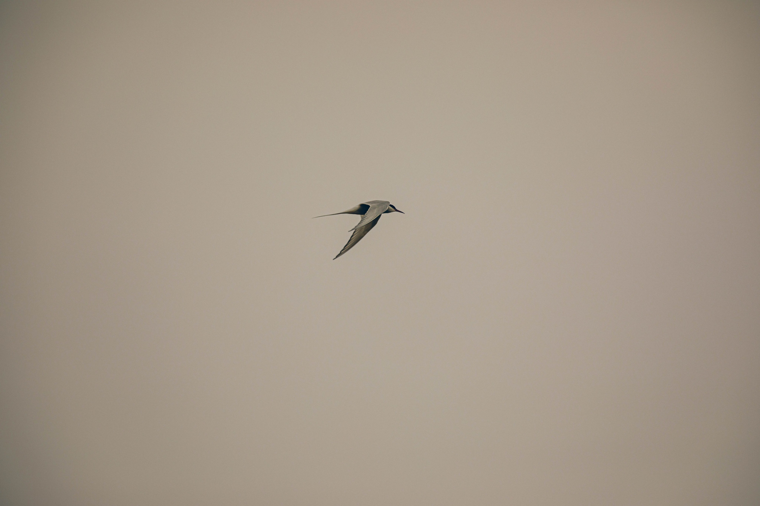 Кольский полуостров. Фотографирую для себя, своей семьи и друзей!