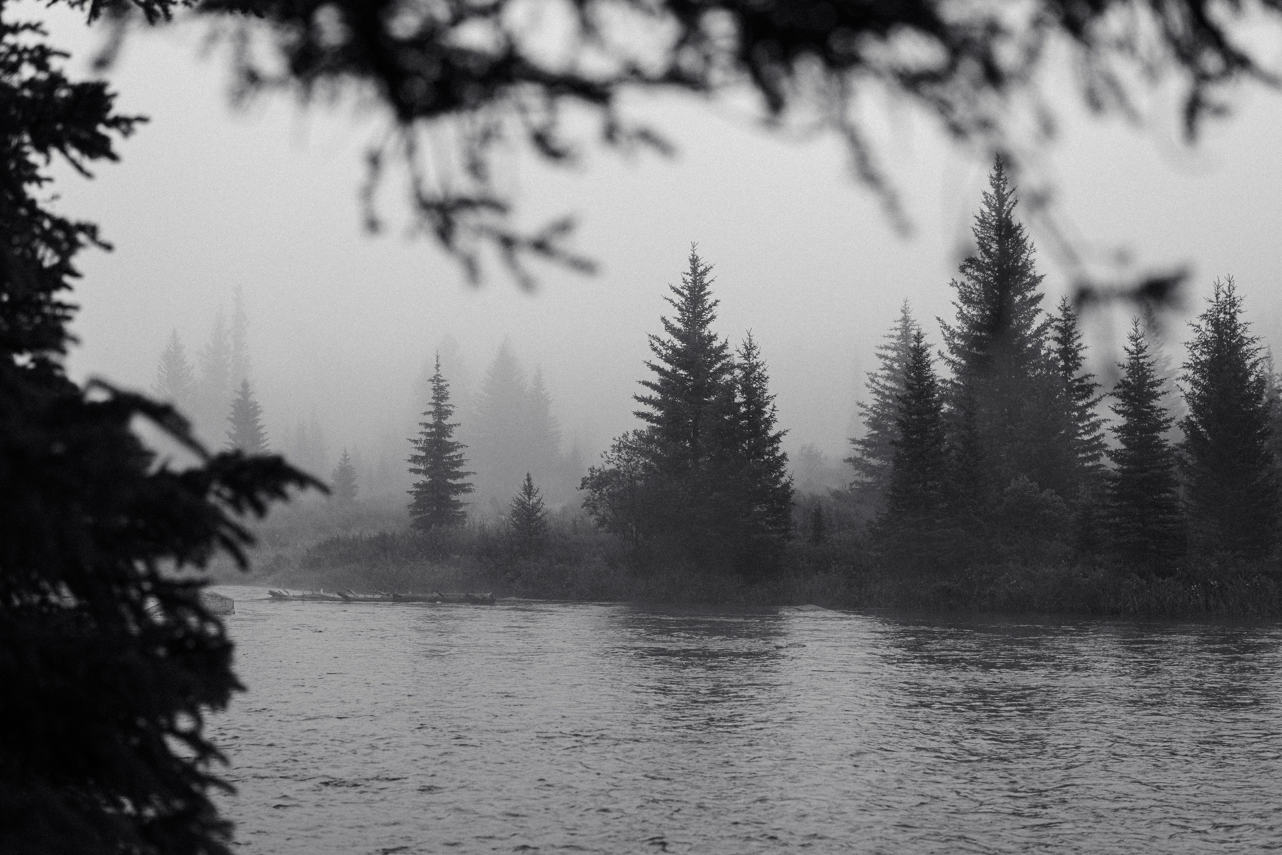 Калининград «ОЧЕРТАНИЕ РЕАЛЬНОСТИ». ARTEXPOPHOTO