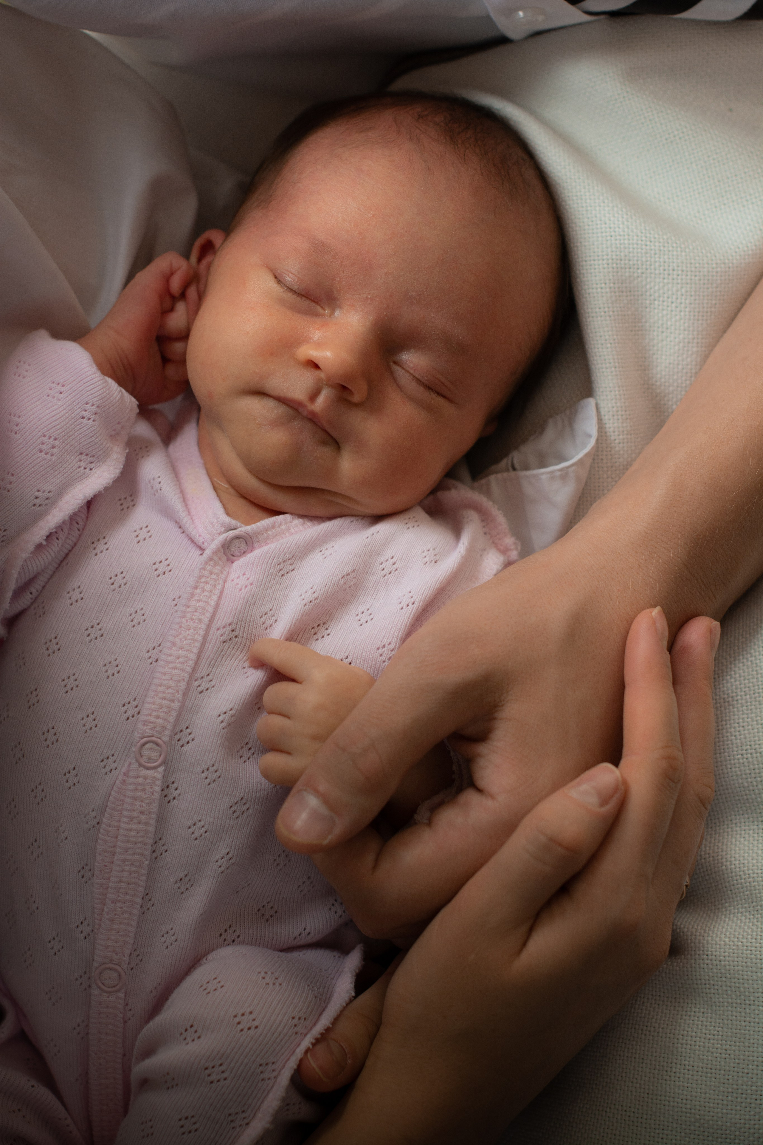 2023-09-21-Елизавета. Фотосессия беременности — Крылова Натали — Москва